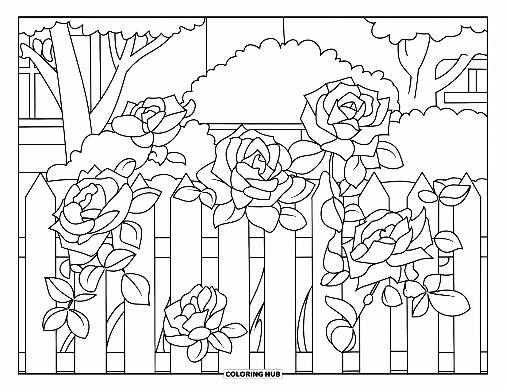 Desen de colorat cu trandafir pentru copii: O grădină cu un gard de scânduri mărginit de trandafiri înfloriți și o casă îndepărtată