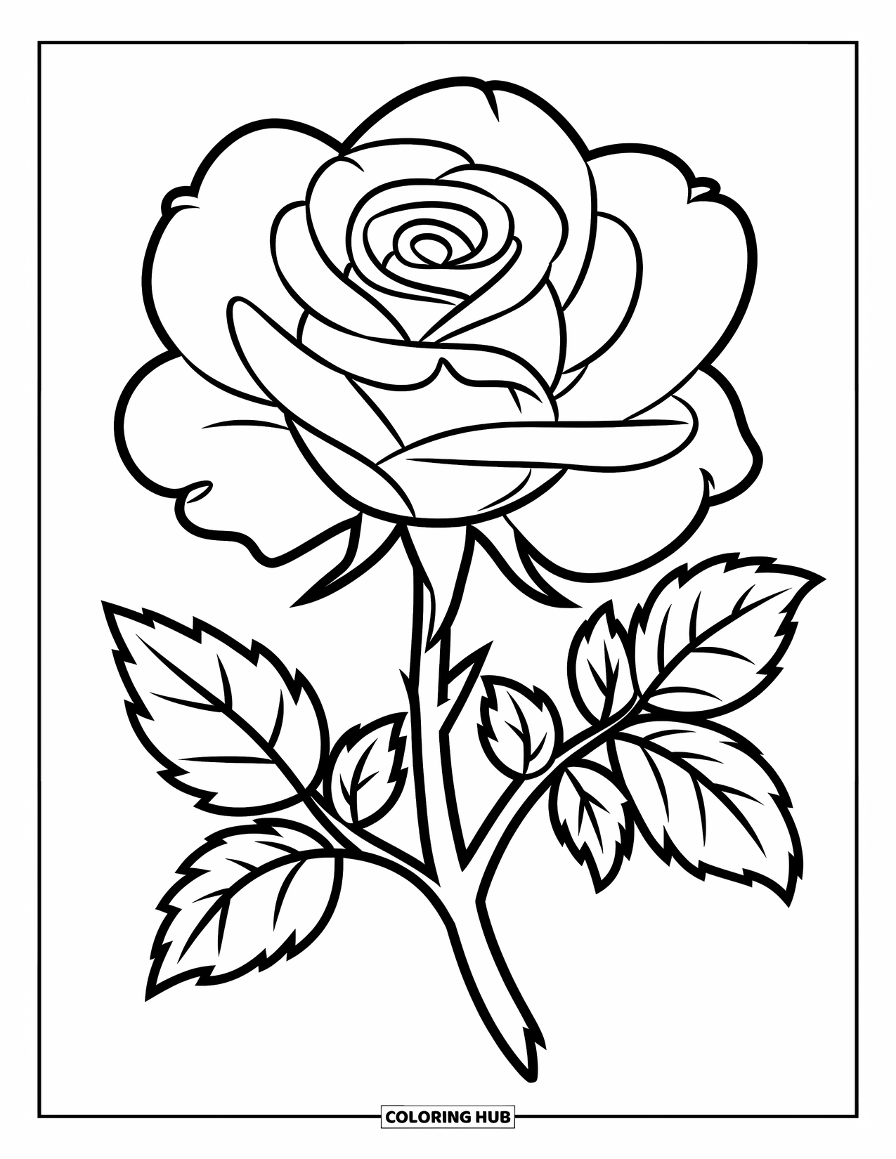 Desen de colorat cu trandafir pentru copii: Un trandafir mare, cu petale puternice și simple și o formă elegantă