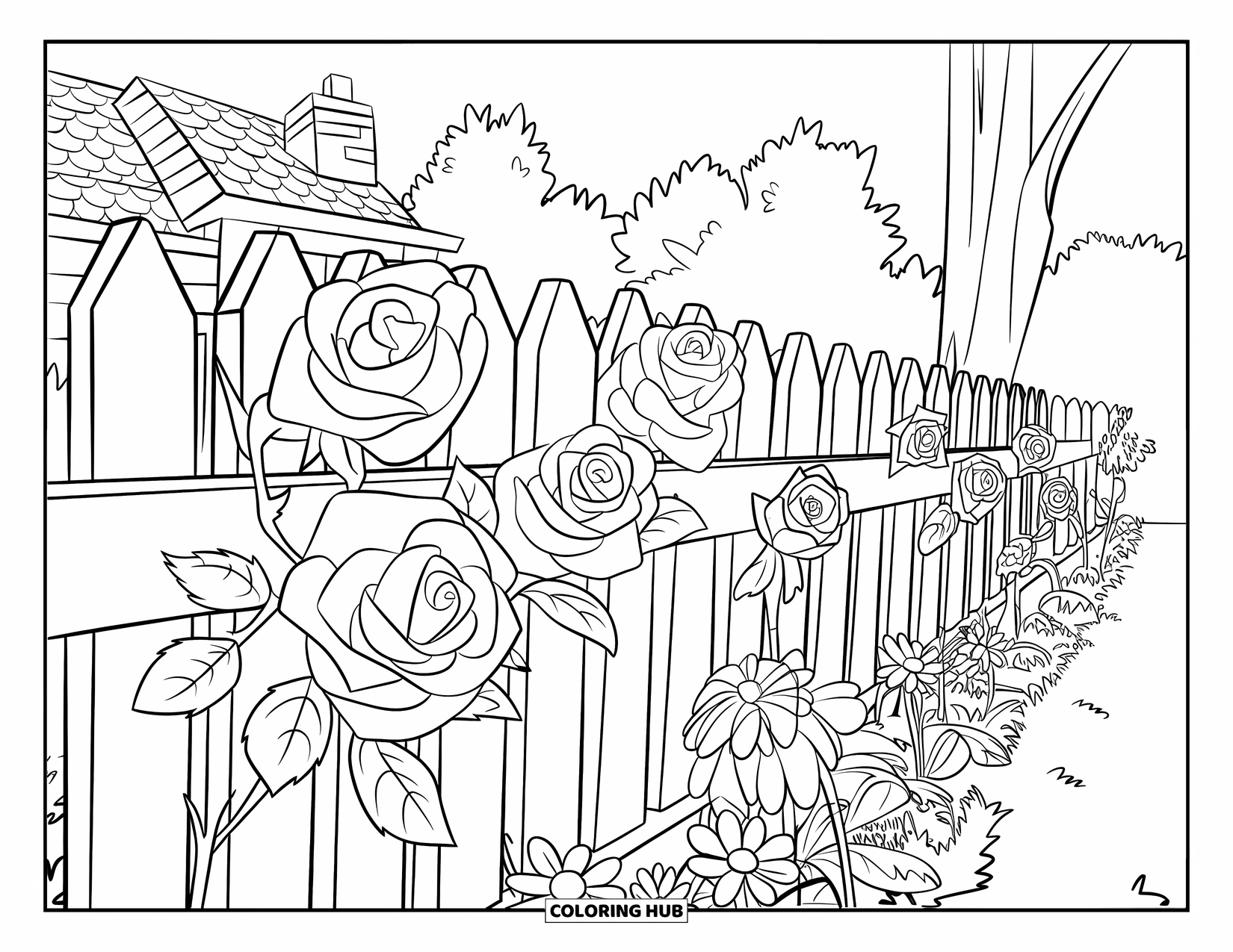 Desen de colorat cu trandafir pentru copii: Un gard de scânduri cu trandafiri, margarete și o casă cu un coș de fum în fundal