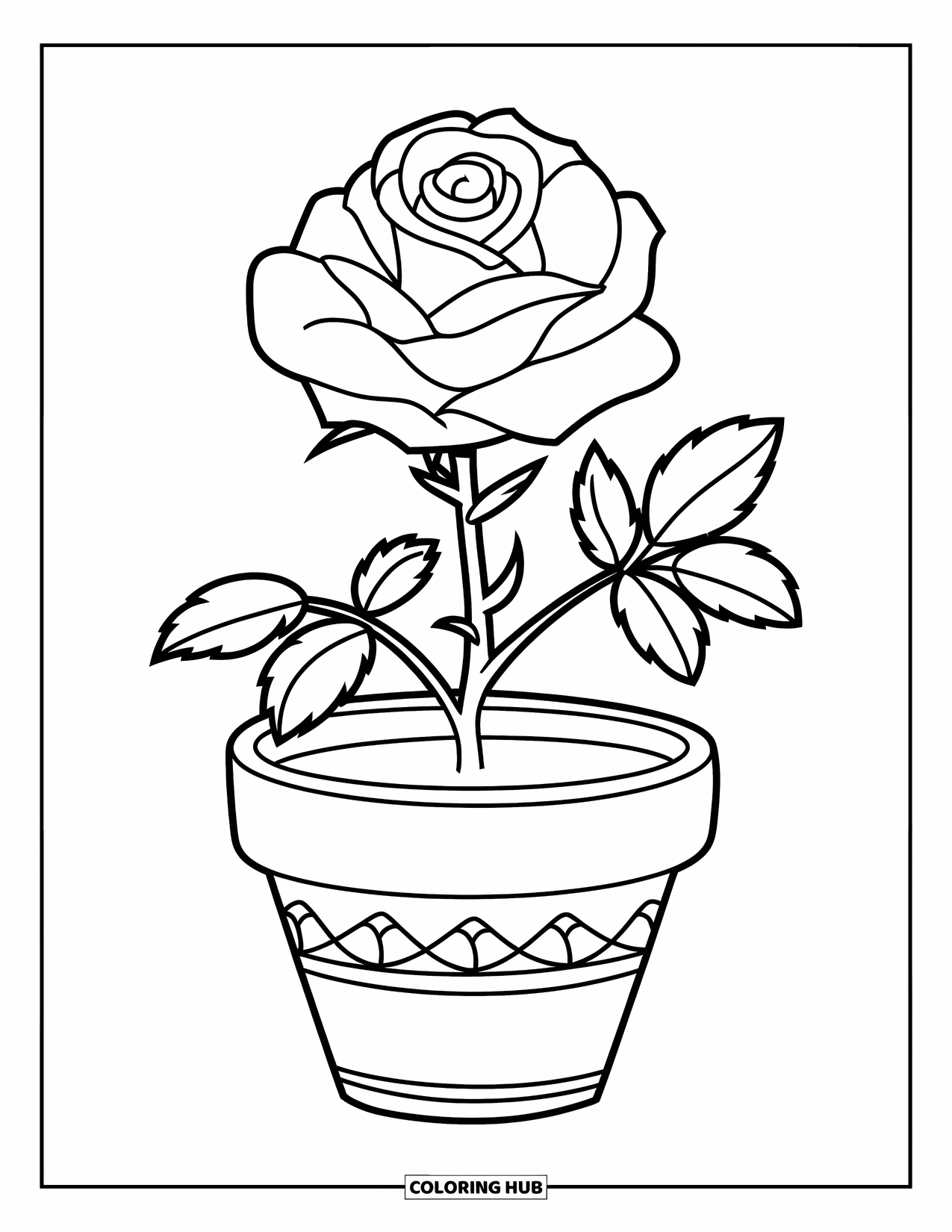 Desen de colorat cu trandafir pentru copii: O plantă de trandafir la ghiveci cu o singură floare și două frunze simple