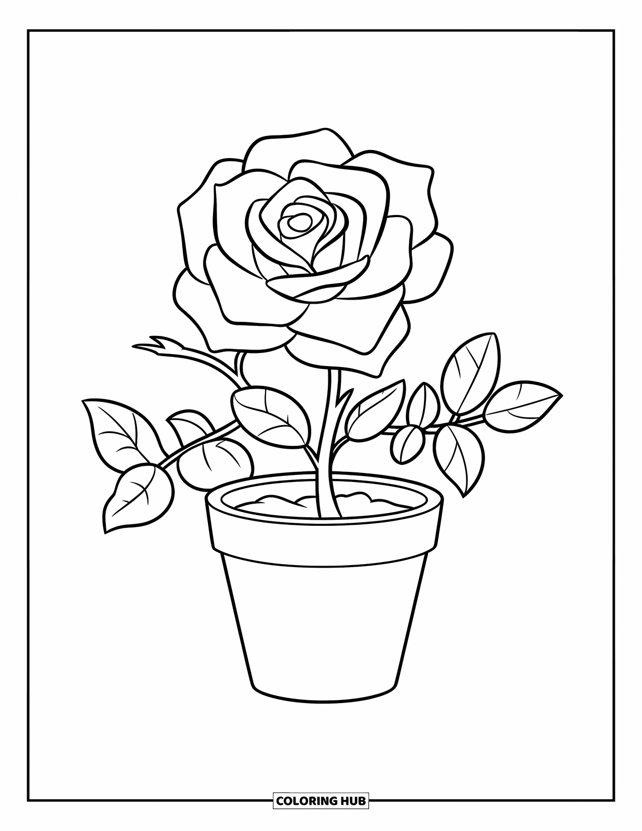 Desen de colorat cu trandafir pentru copii: Un trandafir la ghiveci cu contururi îndrăznețe, cu o floare mare și două frunze