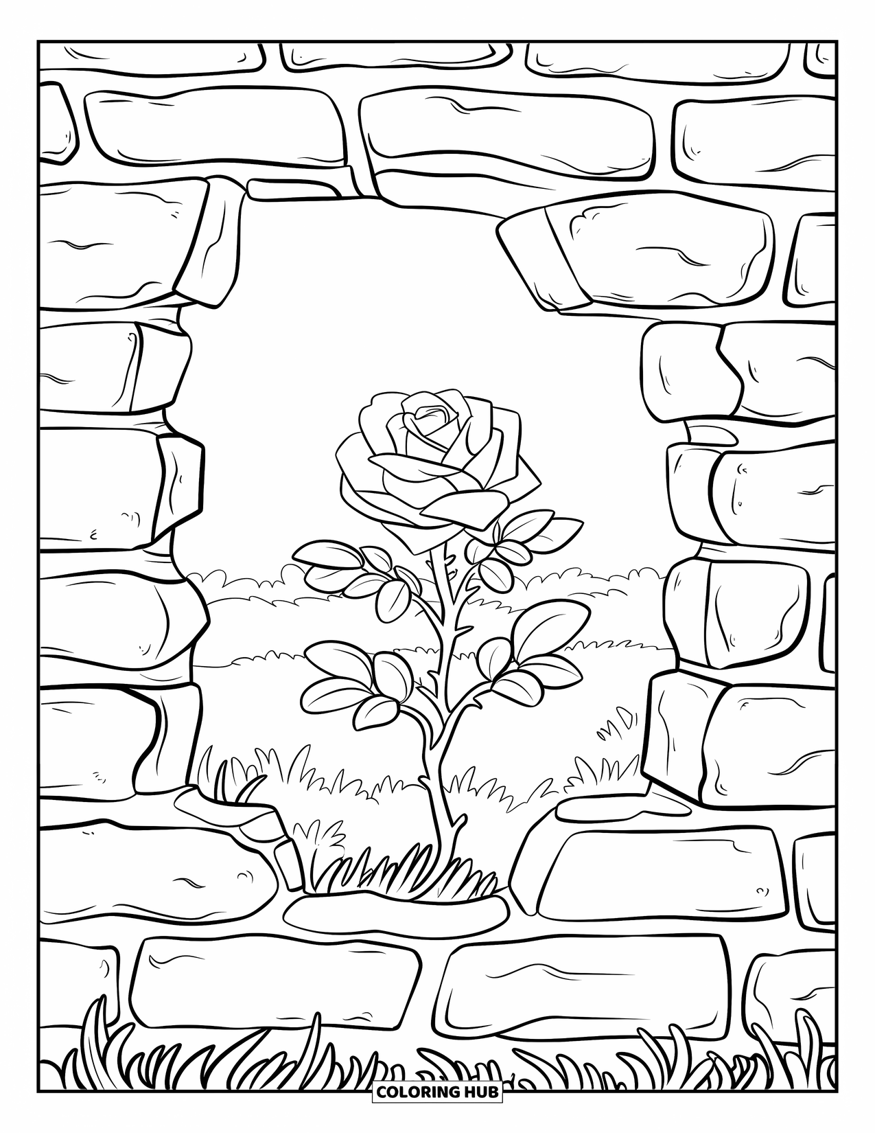 Desen de colorat cu trandafir pentru copii: Un trandafir care crește prin crăpăturile unui zid de piatră erodat într-un câmp luxuriant