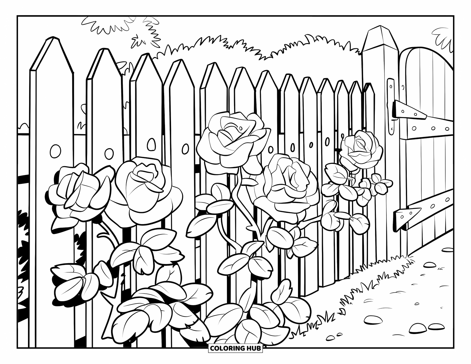 Desen de colorat cu trandafir pentru copii: Un rând de trandafiri care cresc de-a lungul unui gard de scânduri erodat, cu o poartă de lemn