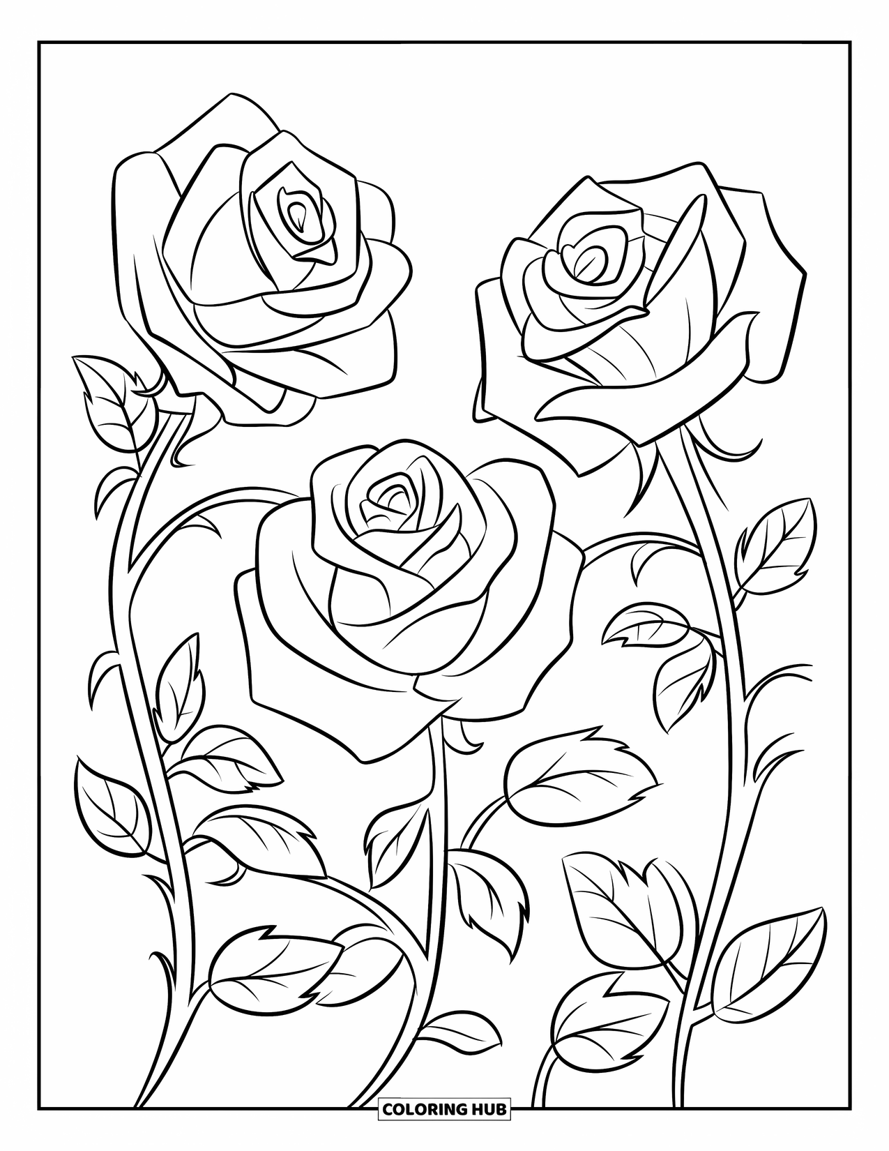 Desen de colorat cu trandafir pentru copii: Trei trandafiri înfloriți conectați prin vițe delicate într-un cadru de grădină fermecător