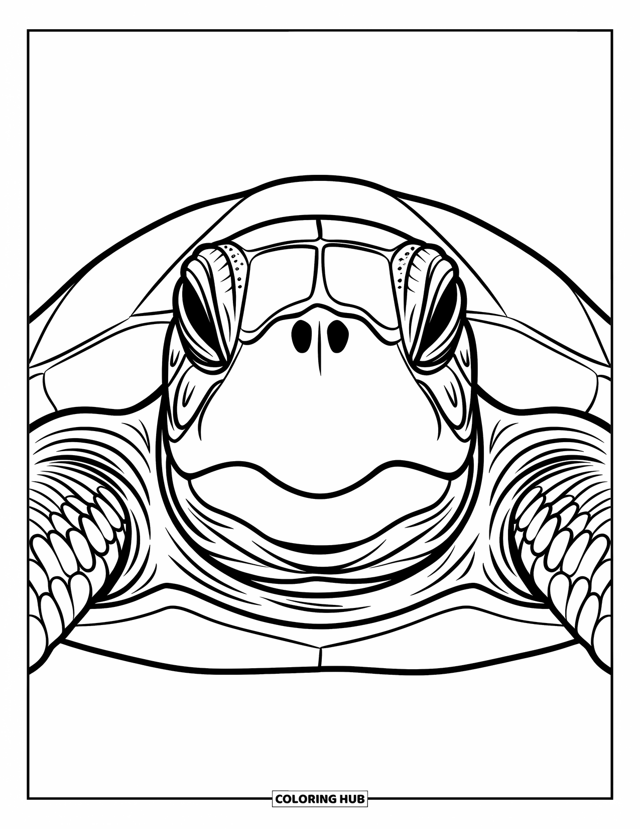 Kolorowanka z żółwiem morskim dla dorosłych: Szczegółowa twarz żółwia morskiego z cienkimi liniami i wzorami, na białym tle