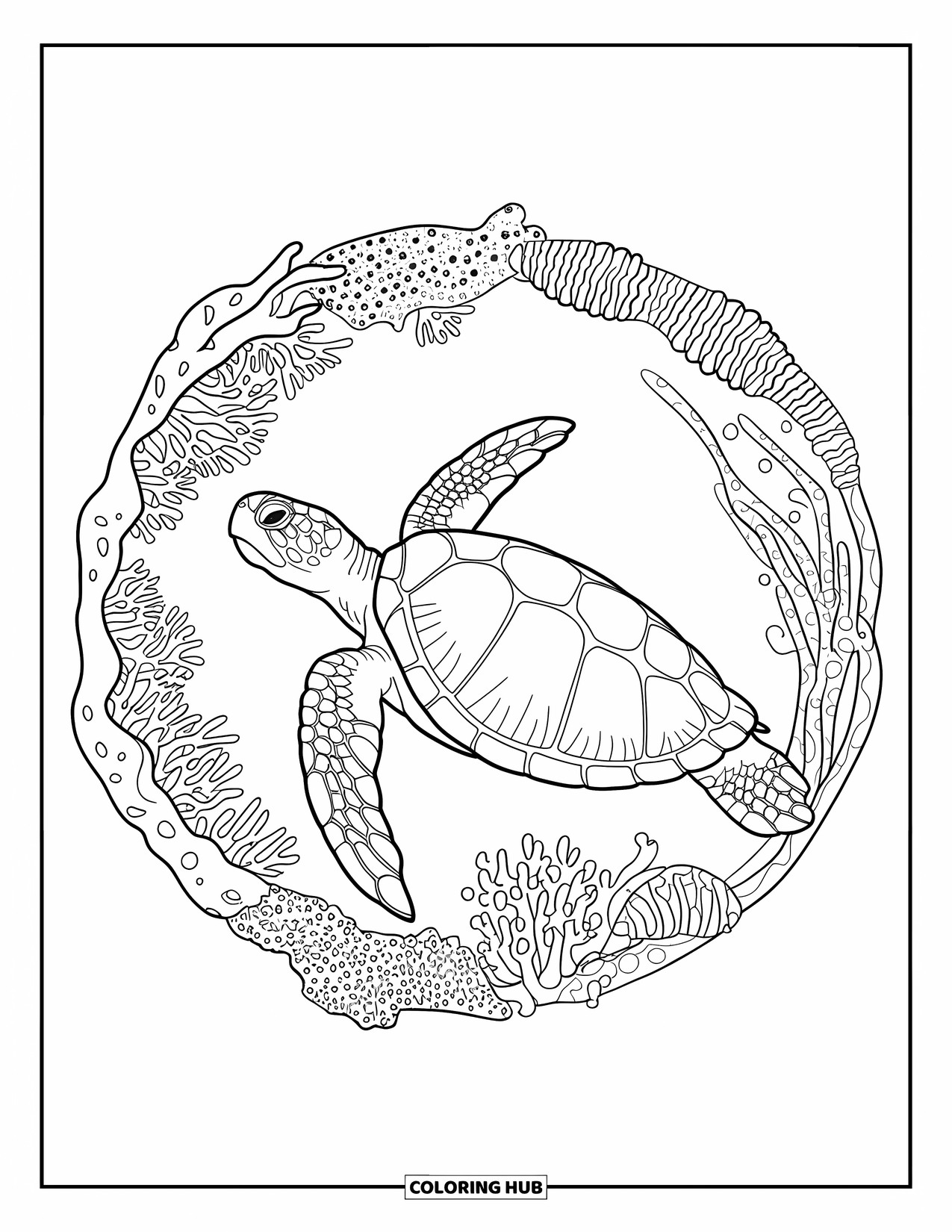 Kolorowanka z żółwiem morskim dla dorosłych: Duży żółw morski pływający nad szczegółową okrągłą rafą koralową wypełnioną życiem morskim