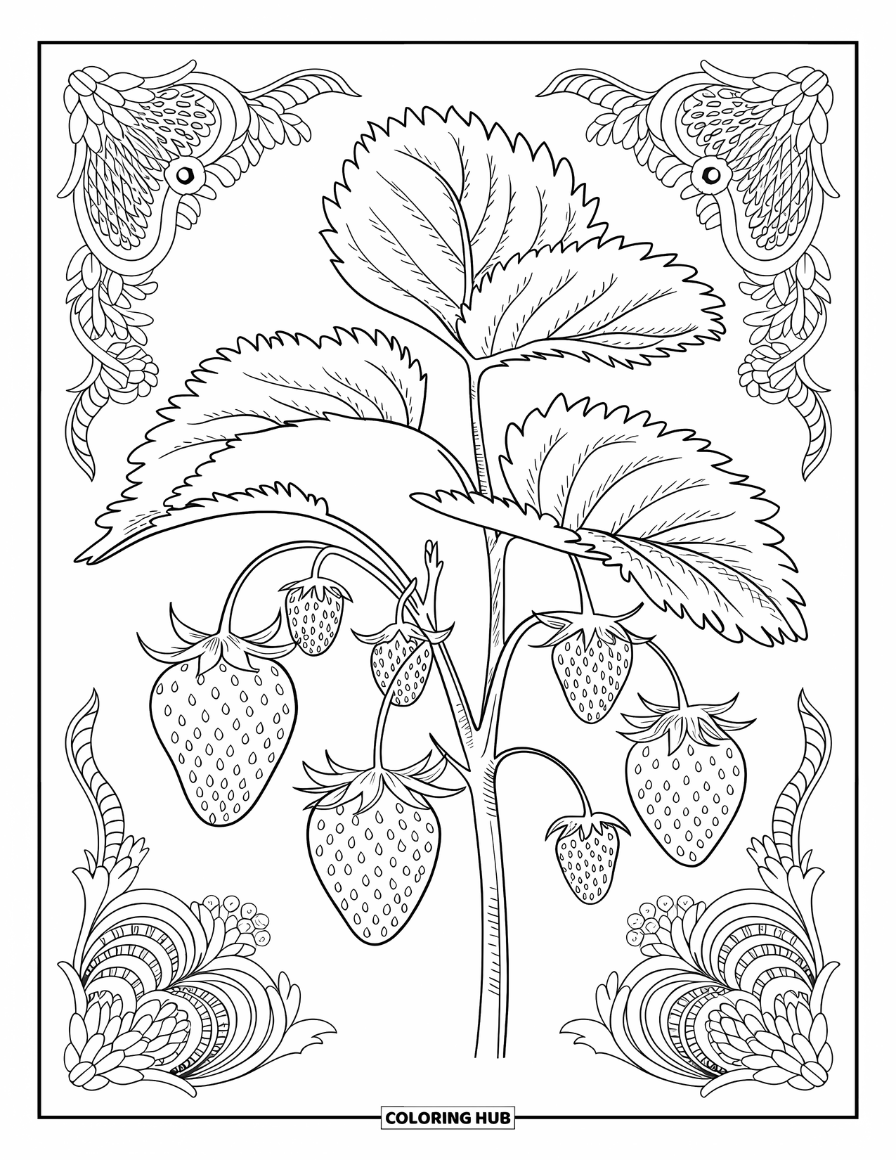 Desenho de morango para colorir para adultos: Uma ilustração botânica de morango em estilo vintage com partes da planta etiquetadas