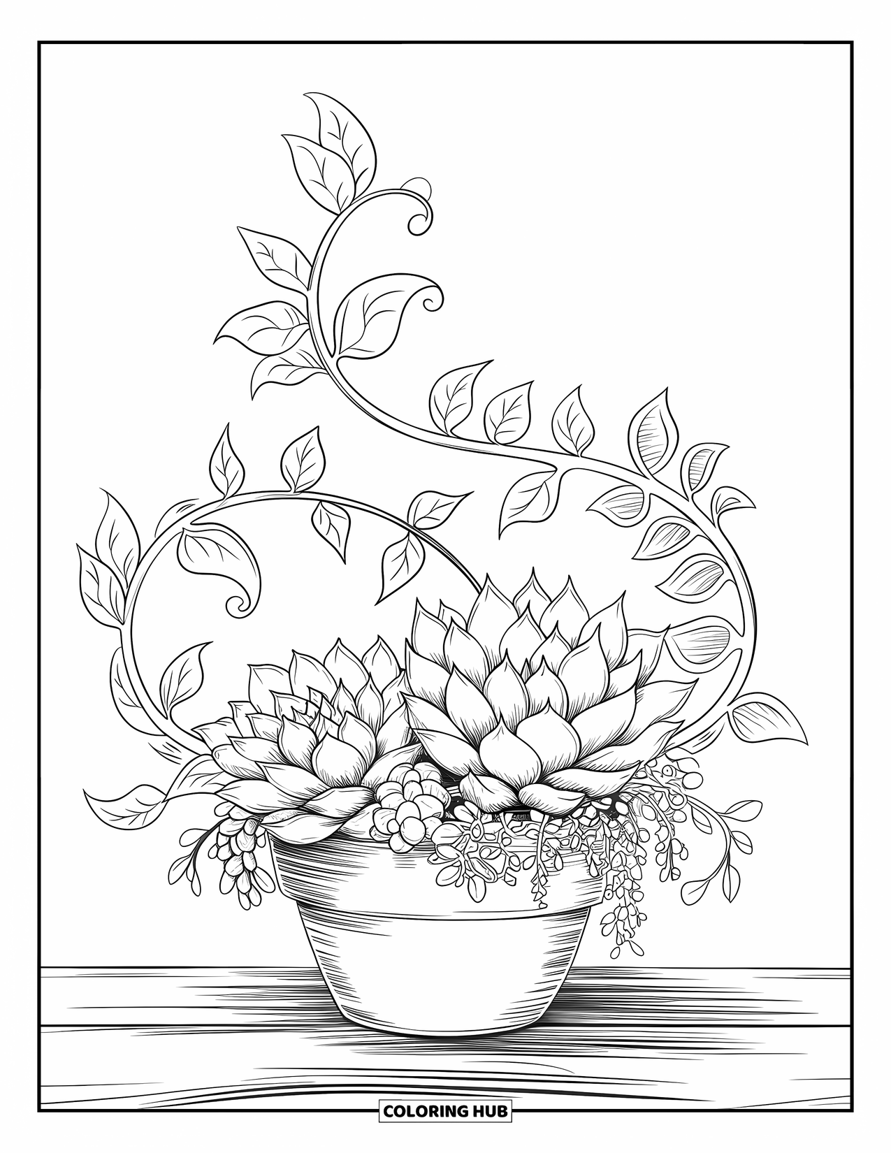 Desen de colorat cu suculente pentru adulți: Un aranjament botanic de suculente cu viță de vie spiralată și frunze delicate umple spațiul