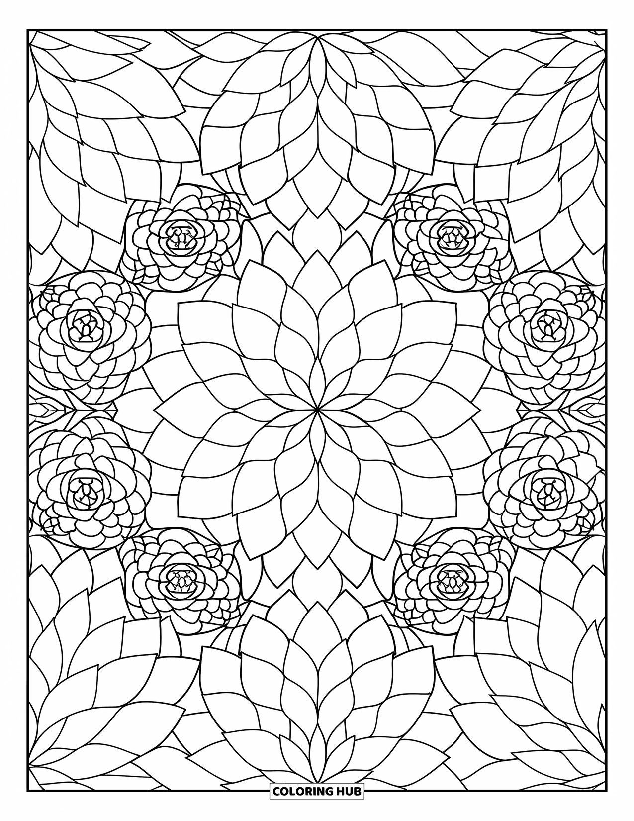 Desen de colorat cu suculente pentru adulți: Un design detaliat de suculente radiază spre exterior într-un model simetric perfect, cu contururi îndrăznețe