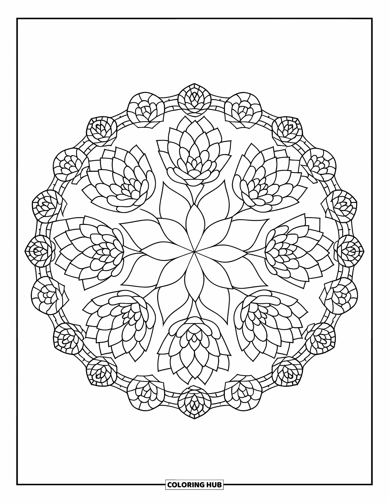 Desen de colorat cu suculente pentru adulți: O bordură geometrică încadrează un model simetric de suculente, creând un design vizual complex
