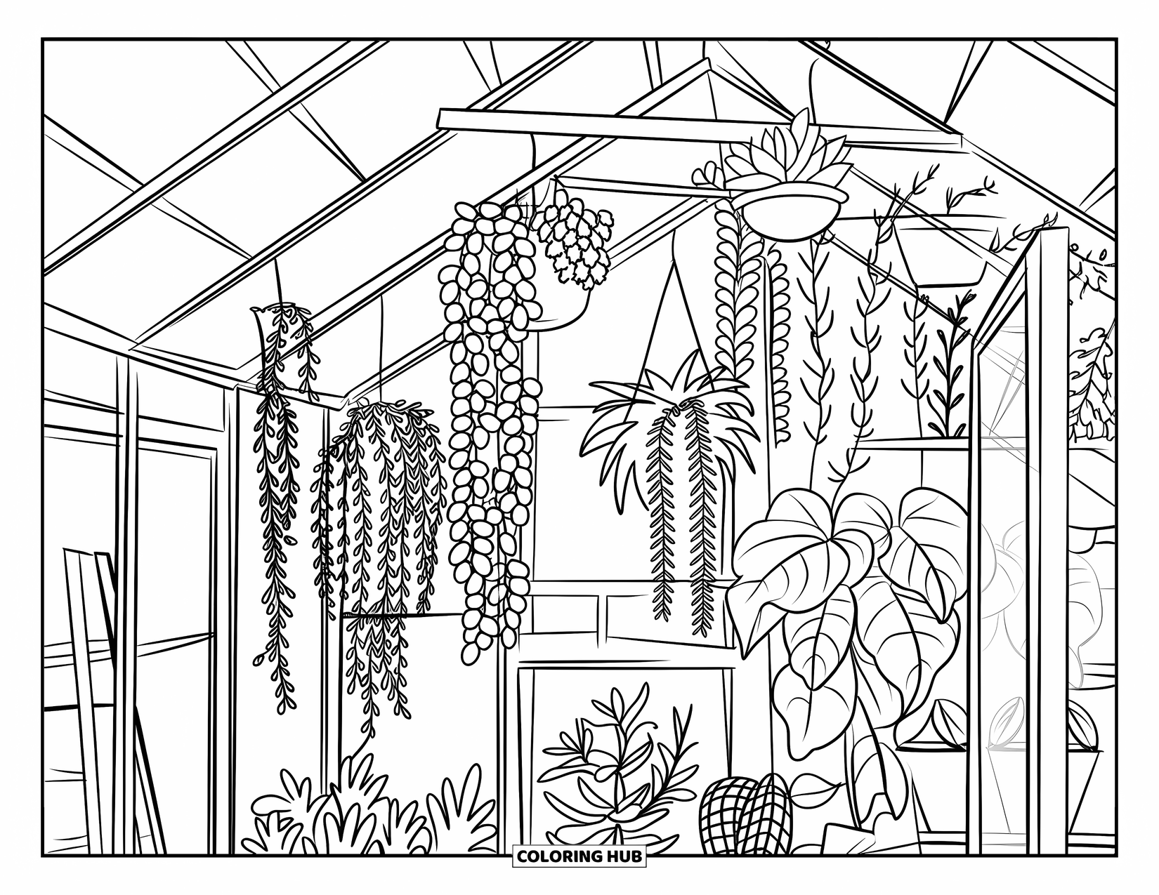 Desen de colorat cu suculente pentru adulți: O seră rustică cu geamuri transparente adăpostește suculente atârnate și plante luxuriante