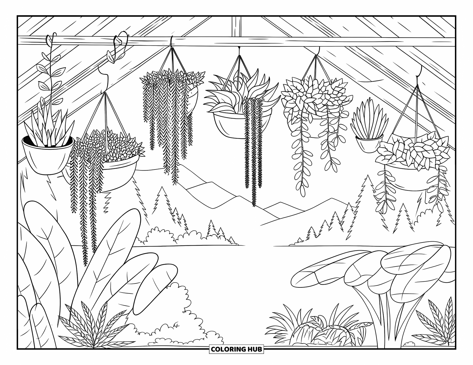 Desen de colorat cu suculente pentru adulți: O seră senină cu acoperiș de paie abundă în suculente, iederă și verdeață vibrantă