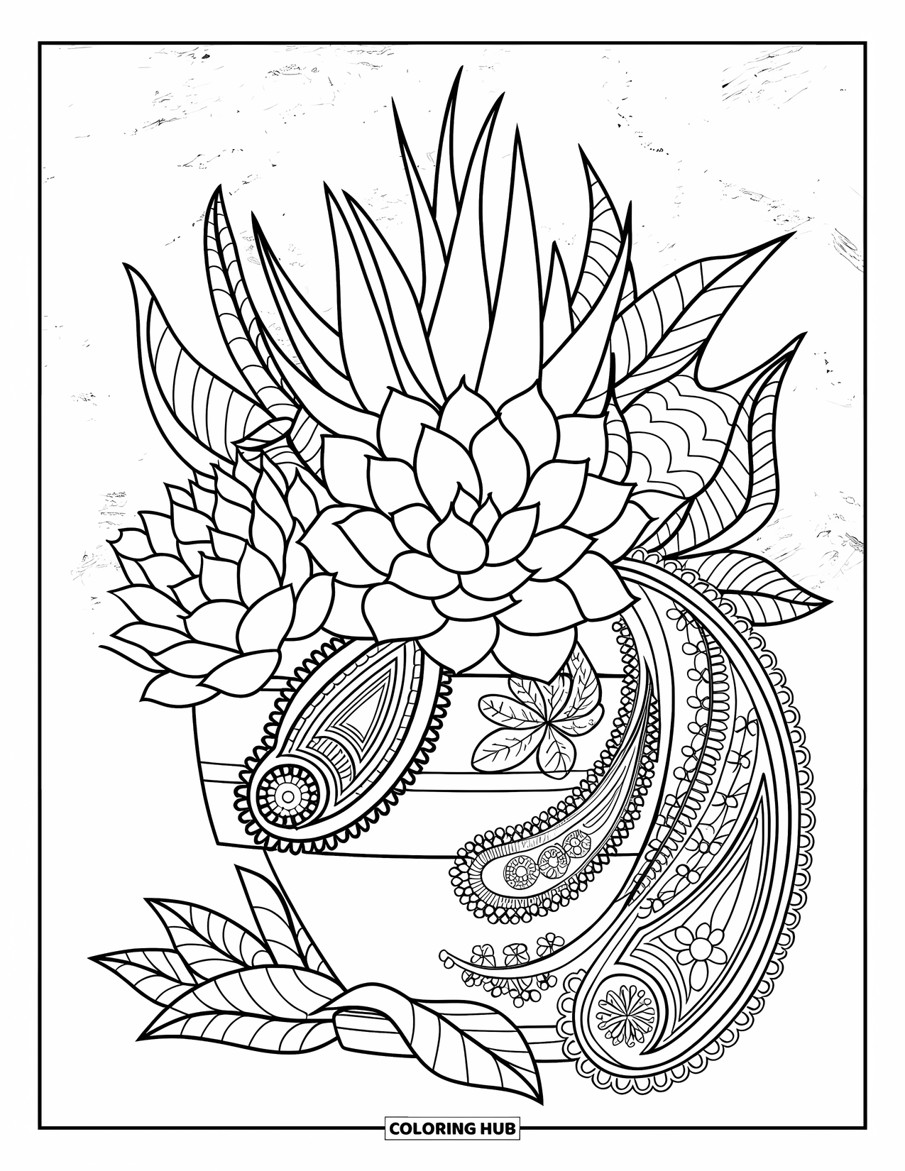 Desen de colorat cu suculente pentru adulți: Un aranjament de suculente într-un ghiveci decorativ este țesut într-un fundal cu model paisley