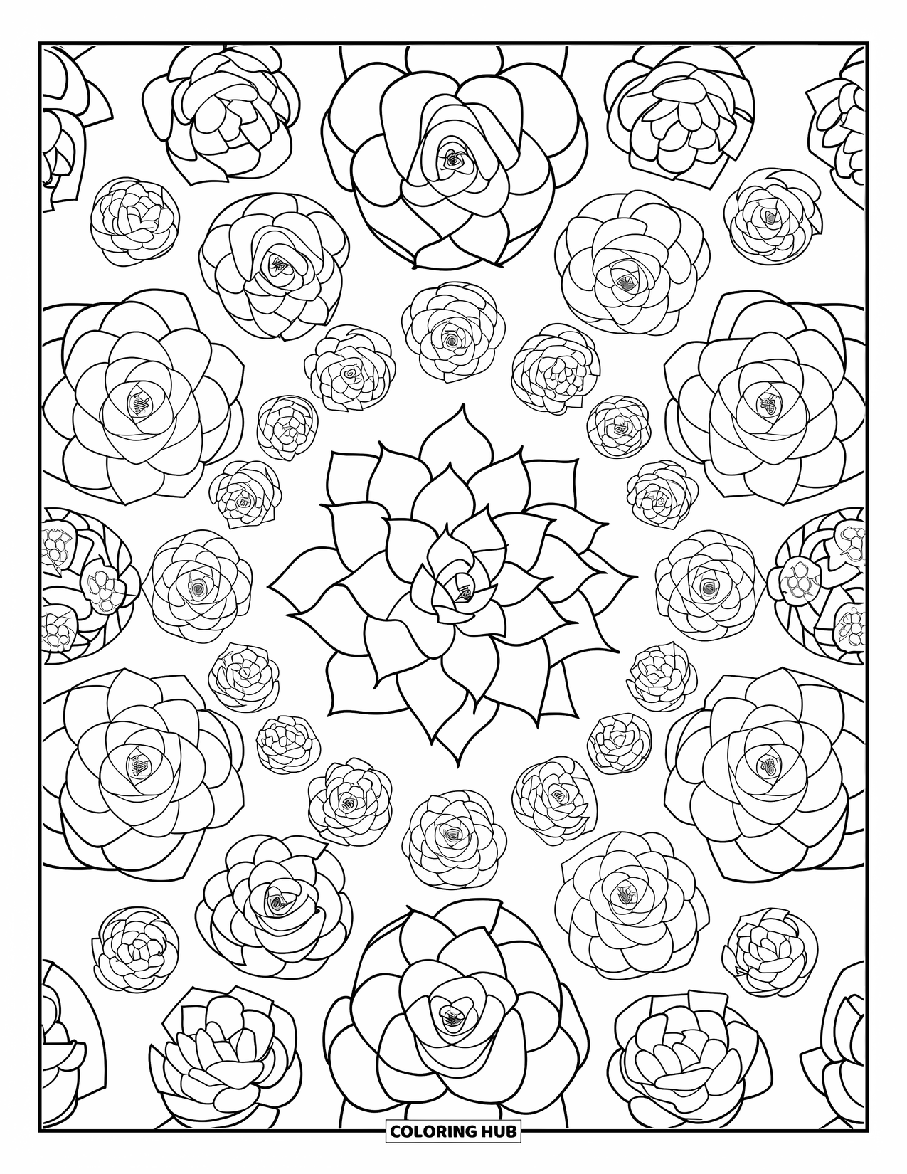 Desen de colorat cu suculente pentru adulți: Un design simetric cu un model central de suculente se repetă într-un aranjament frumos echilibrat