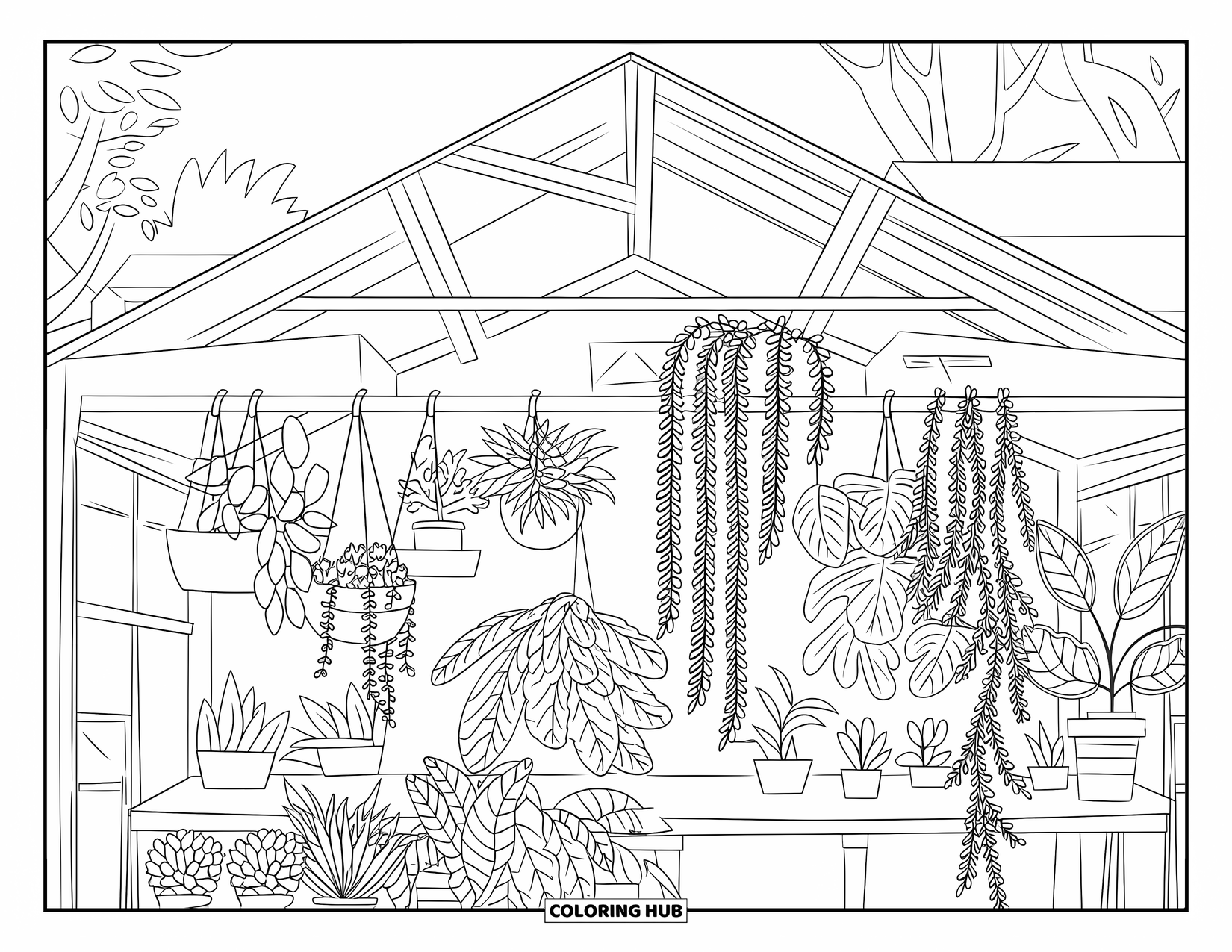 Desen de colorat cu suculente pentru adulți: O seră cu ramă de lemn, cu suculente, iederă și plante cu frunze, se află sub un cer luminos