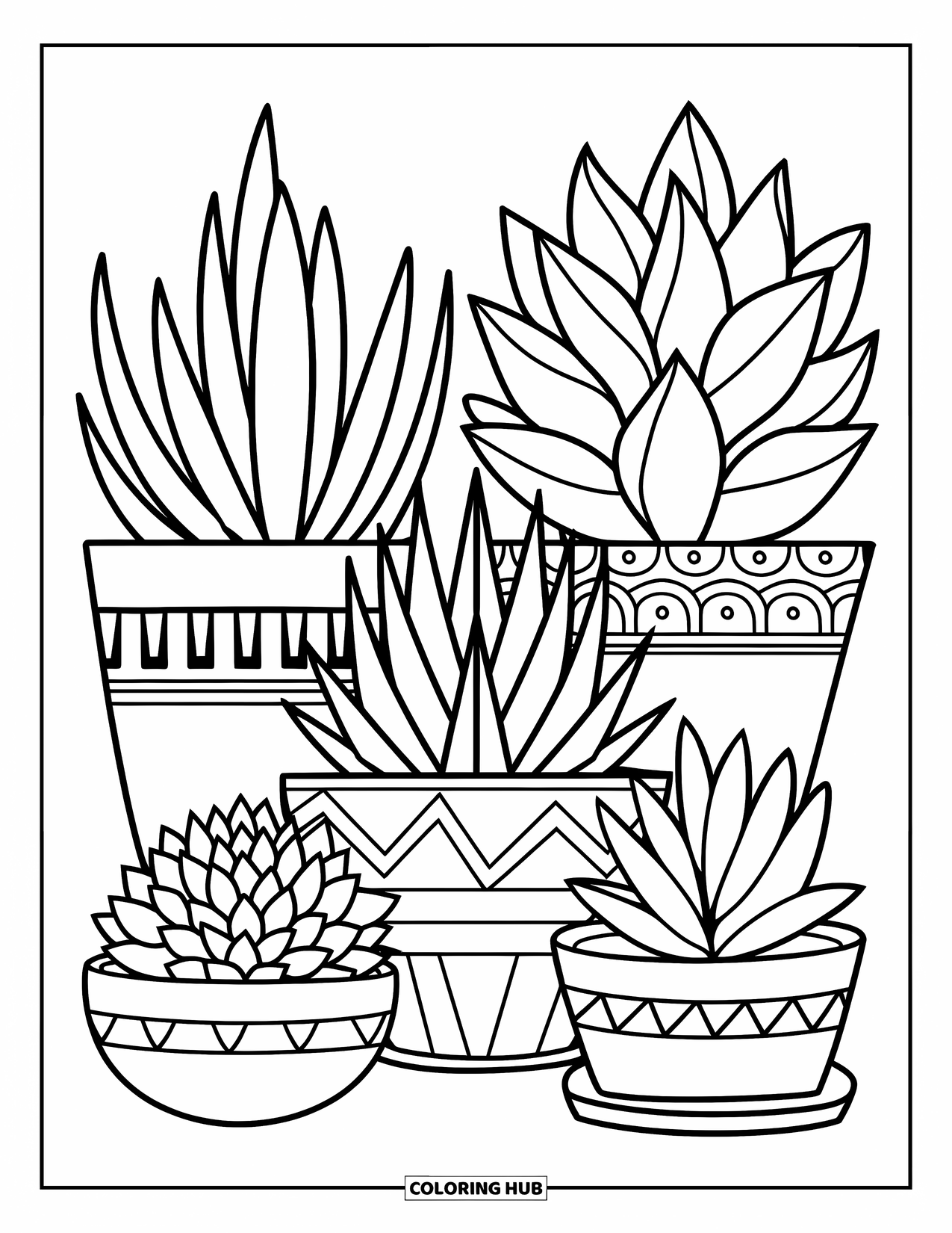 Desen de colorat cu suculente pentru copii: Un grup de suculente, fiecare în ghivece unice, se sprijină pe un fundal alb simplu