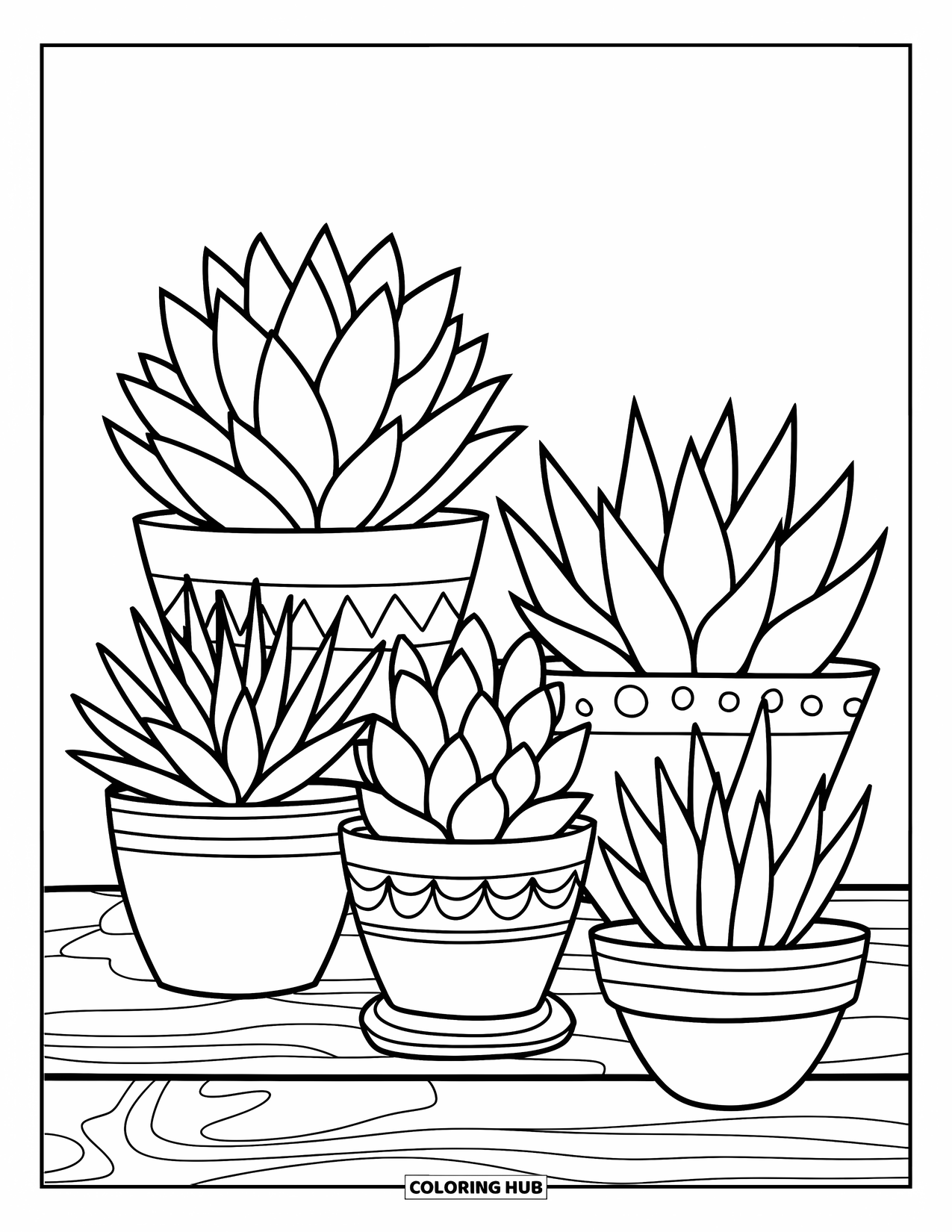 Desen de colorat cu suculente pentru copii: Un grup de suculente în ghivece decorative se sprijină pe o suprafață de lemn