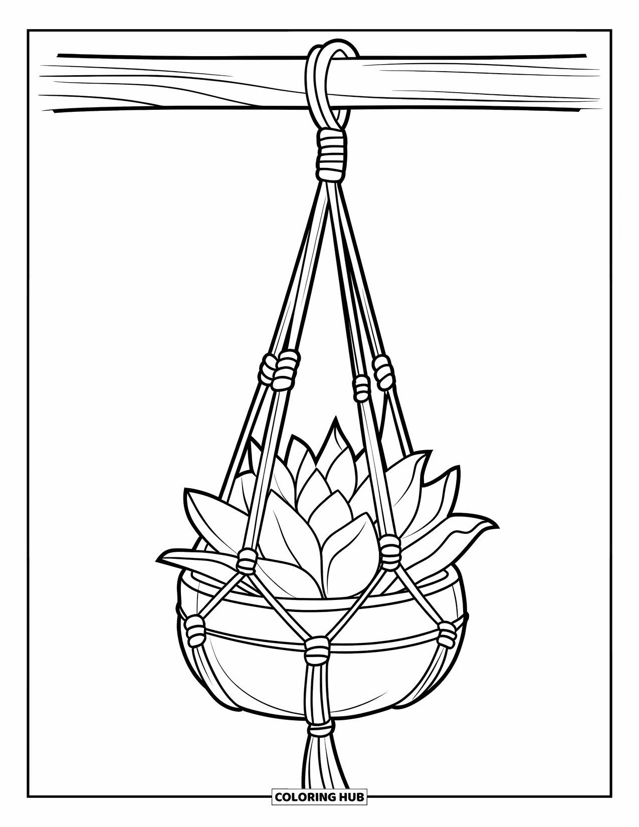 Desen de colorat cu suculente pentru copii: Un suport de plante macramé lucrat manual atârnă de o grindă, ținând o suculentă cu frunze groase