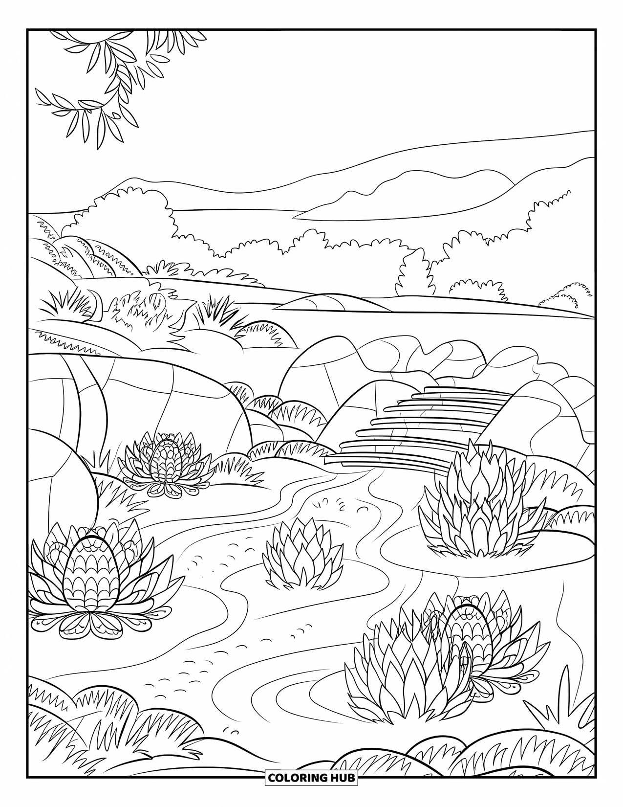 Desen de colorat cu suculente pentru copii: O grădină Zen liniștită cu suculente, desene în nisip și un pod în mijlocul verdeaței luxuriante