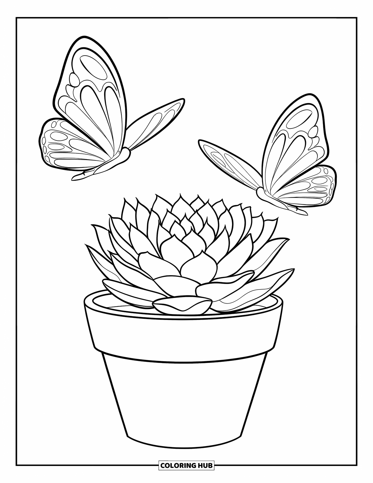 Desen de colorat cu suculente pentru copii: O suculentă în ghiveci și doi fluturi creează o scenă fermecătoare și delicată