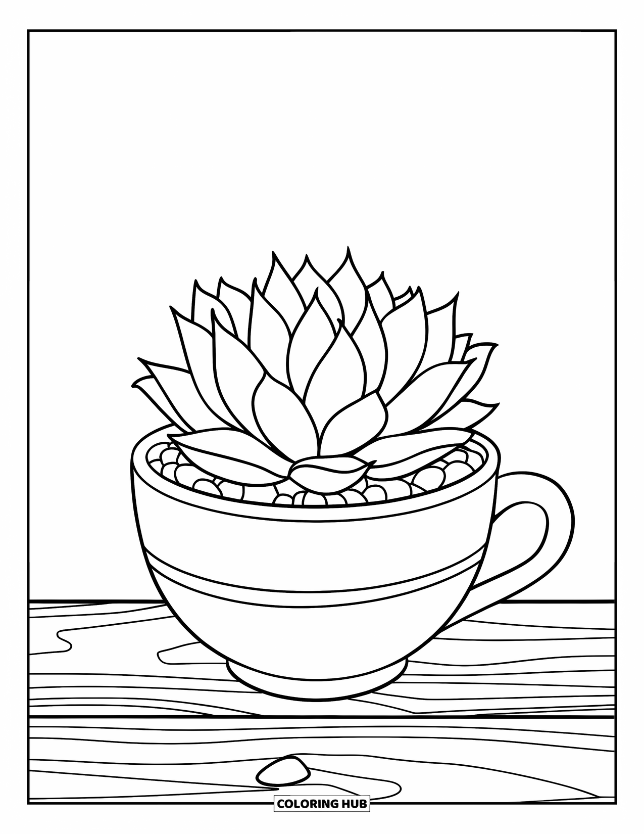 Desen de colorat cu suculente pentru copii: O suculentă rotunjită se află într-o cană cu margine largă pe o suprafață de lemn