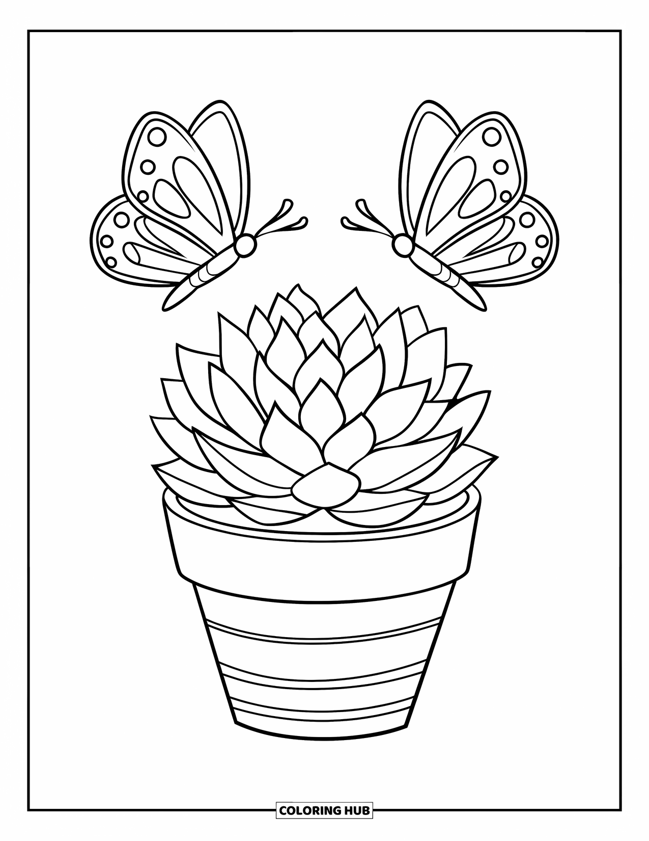 Desen de colorat cu suculente pentru copii: O suculentă mică într-un ghiveci în dungi stă sub doi fluturi fluturând