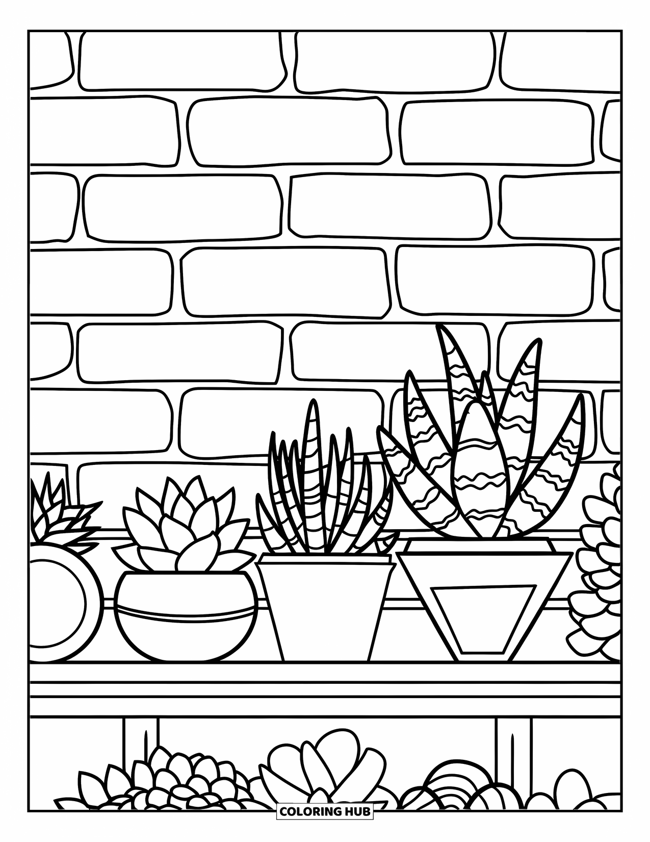 Desen de colorat cu suculente pentru copii: Un raft de lemn ține ghivece cu forme unice, fiecare cu o suculentă diferită