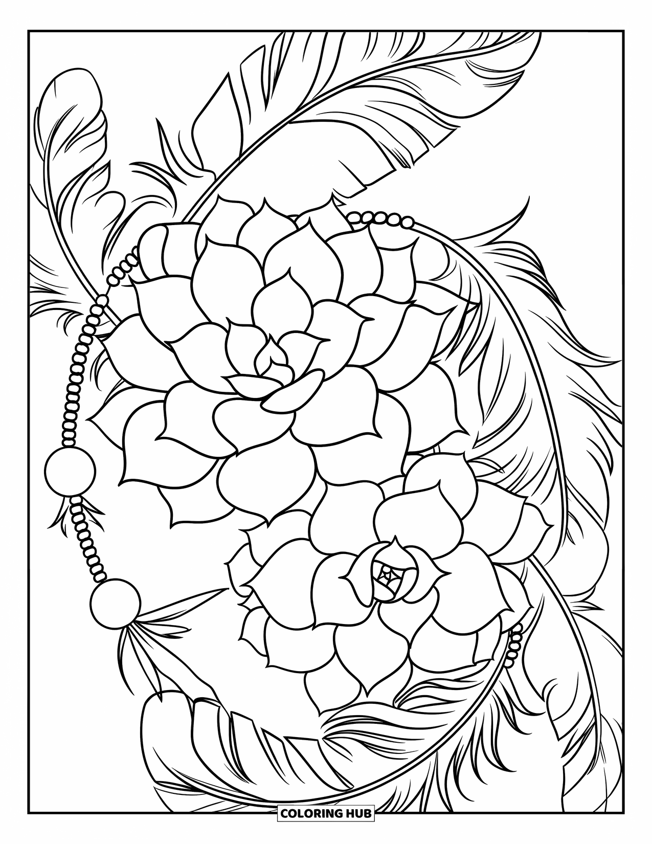 Desen de colorat cu suculente pentru copii: Suculente îndrăznețe, pene curgătoare și mărgele atârnate formează o scenă boemă unică