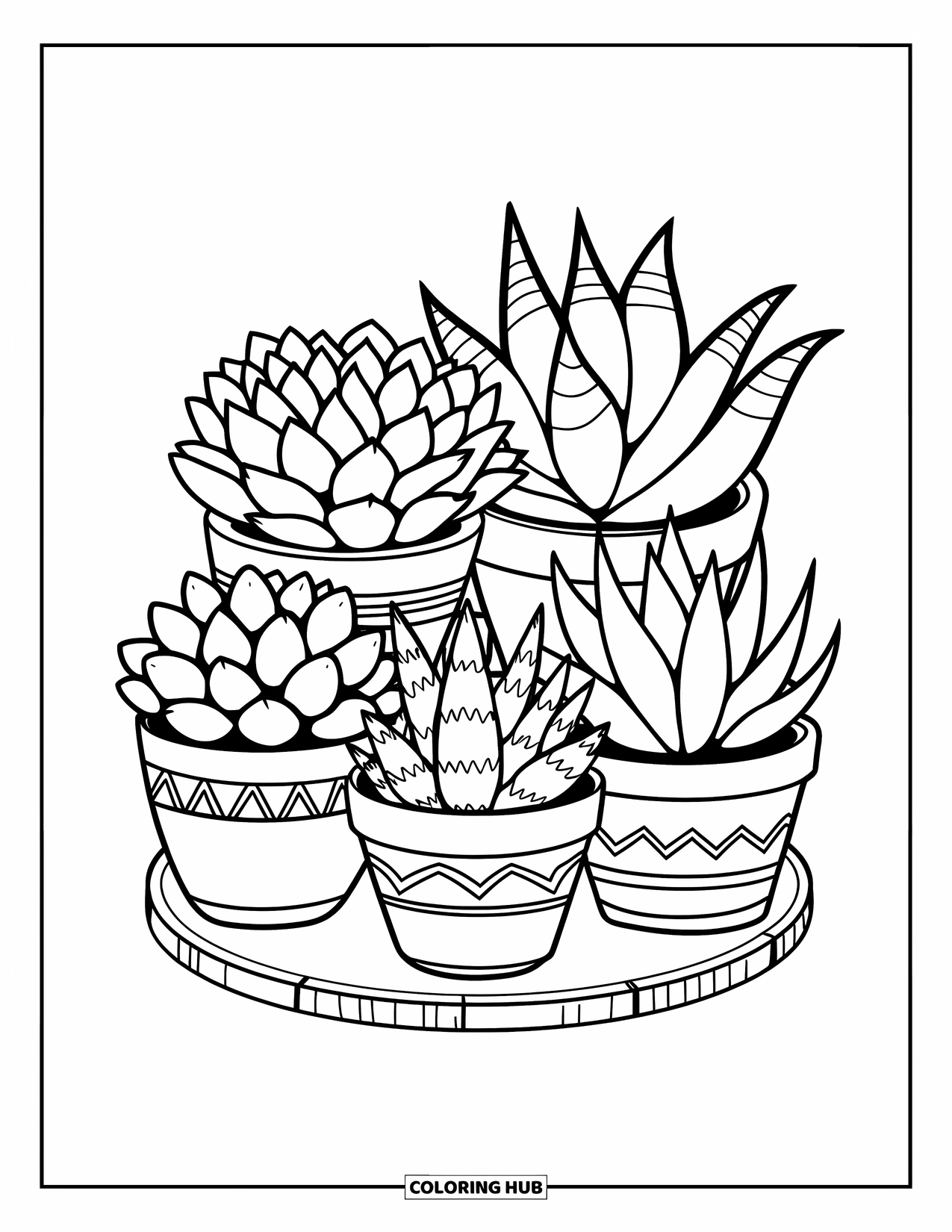 Desen de colorat cu suculente pentru copii: Cinci suculente distincte stau în ghivece decorative pe o suprafață de lemn