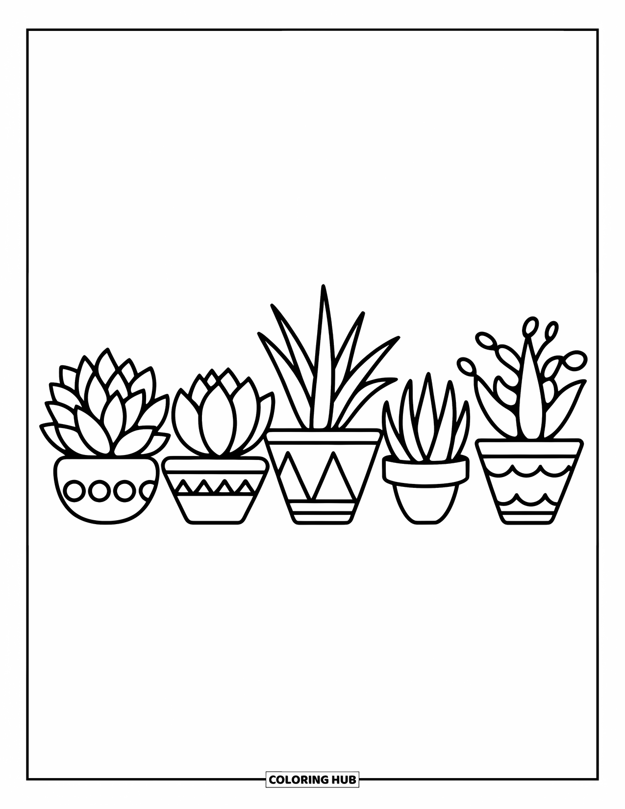 Desen de colorat cu suculente pentru copii: Cinci suculente cu forme îndrăznețe stau în ghivece cu model, aranjate ordonat într-un rând