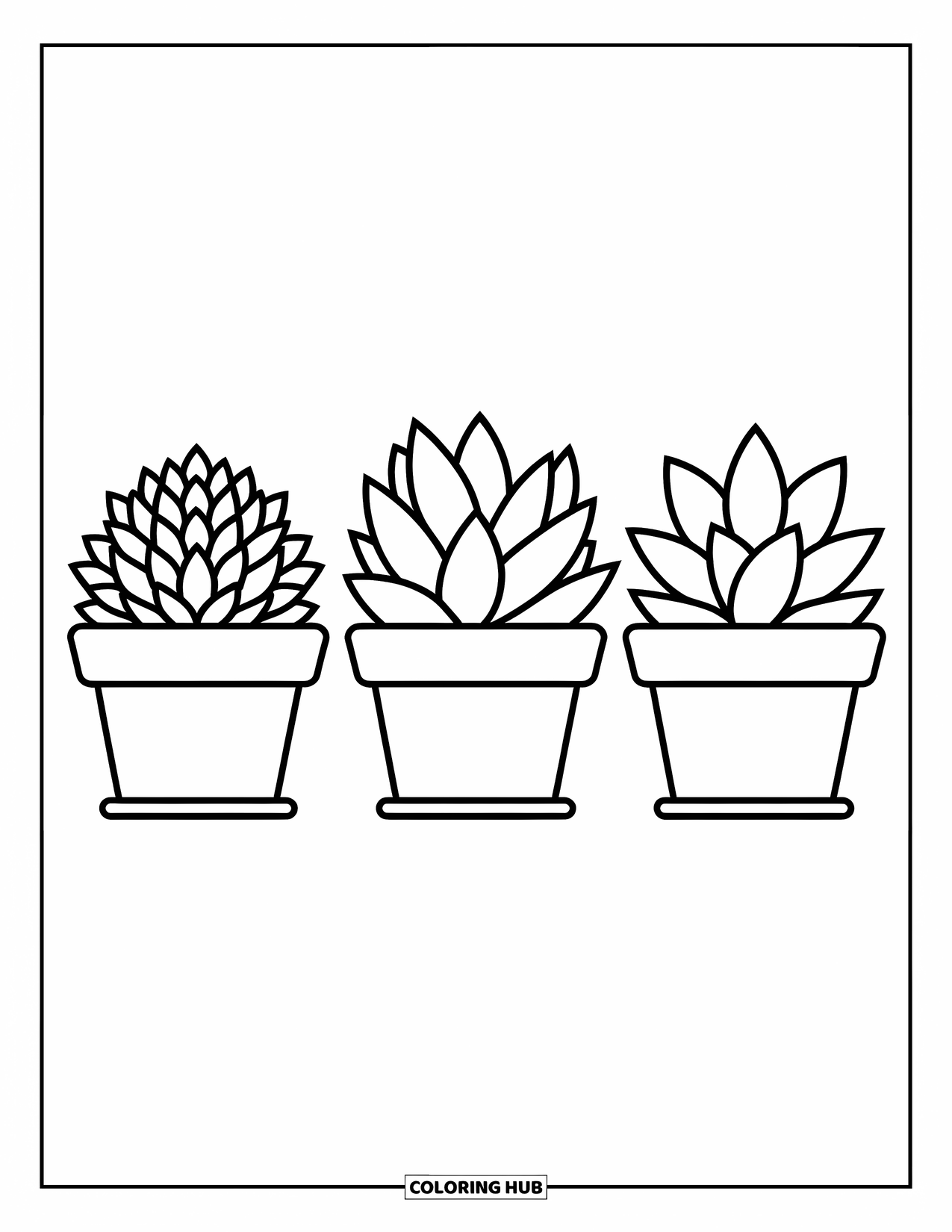 Desen de colorat cu suculente pentru copii: Suculente cu curbe moi și texturi delicate stau ordonat în ghivecele lor