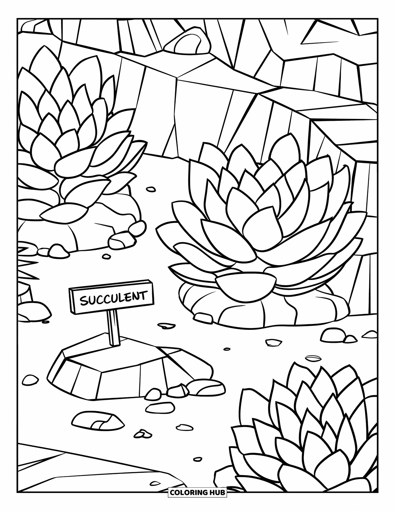 Desen de colorat cu suculente pentru copii: Suculente cu frunze groase cresc printre pietre cu un semn de lemn care marchează grădina