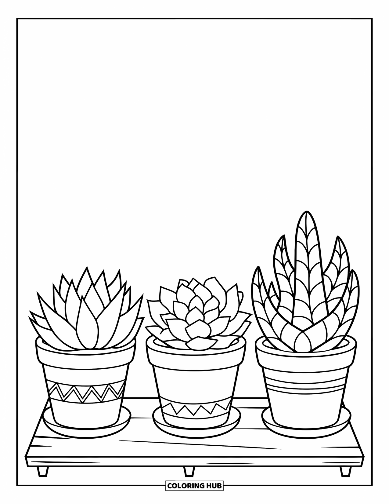 Desen de colorat cu suculente pentru copii: Trei suculente în ghivece de bază stau într-un rând ordonat pe o scândură de lemn