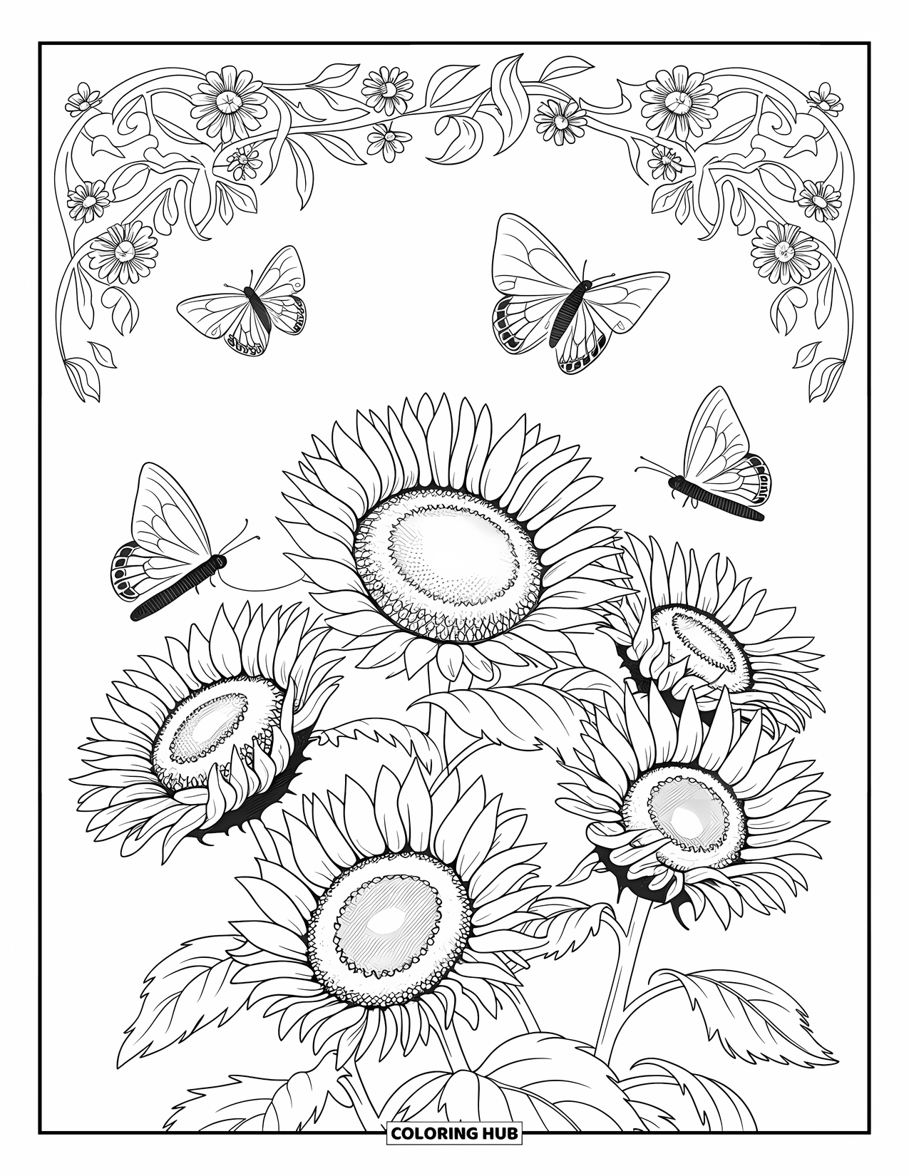 Desen de colorat cu floarea-soarelui pentru adulți: Un grup de flori de floarea-soarelui cu fluturi eleganți odihnindu-se pe petalele lor și zburând în jur