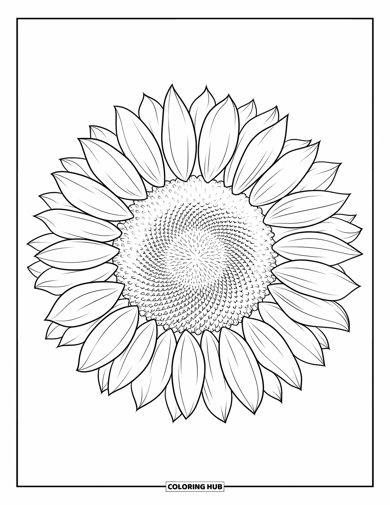 Desen de colorat cu floarea-soarelui pentru adulți: O singură floarea-soarelui cu detalii intricate ale petalelor și un centru de semințe texturizat