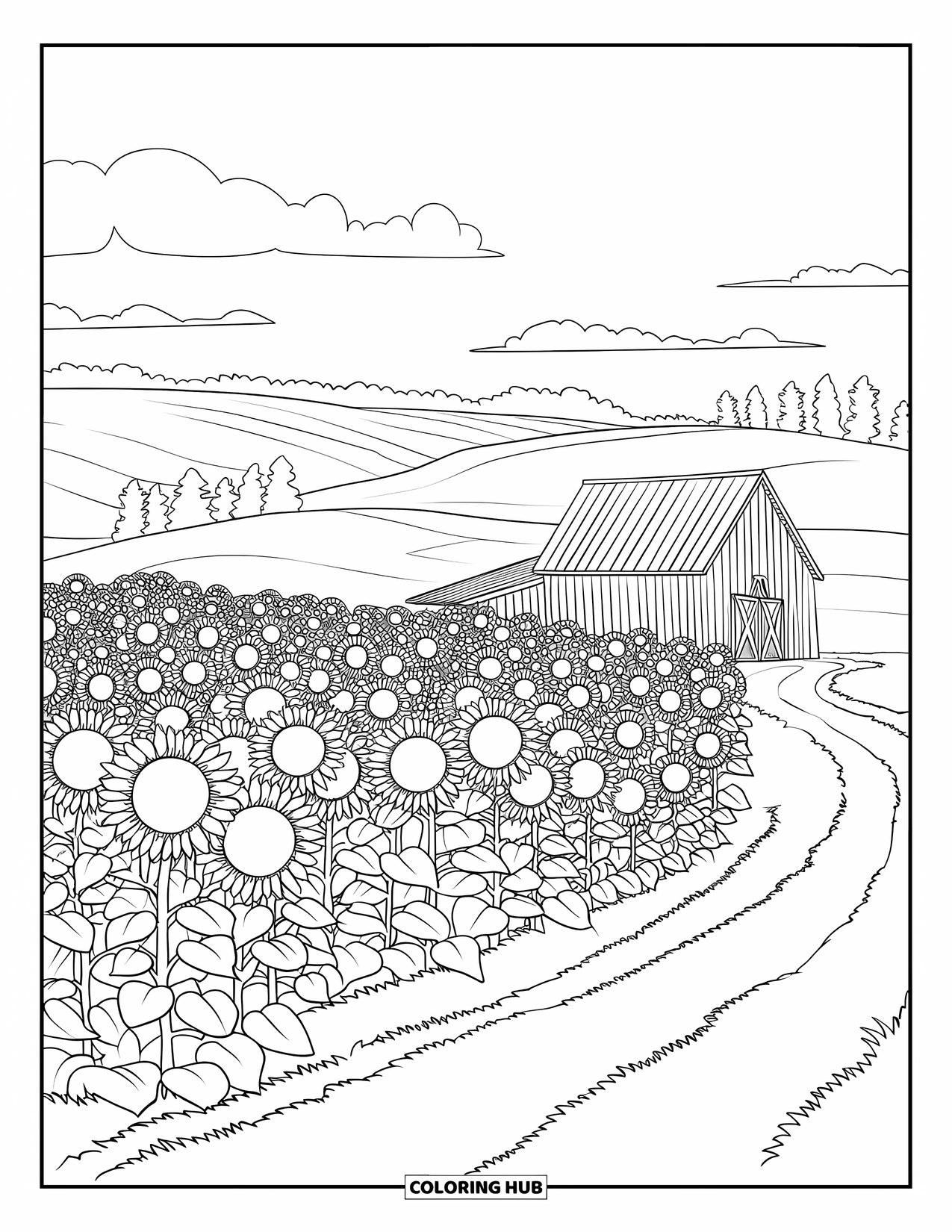 Desen de colorat cu floarea-soarelui pentru adulți: Un câmp de floarea-soarelui se întinde spre un hambar de lemn, cu dealuri și o potecă de pământ liniștită
