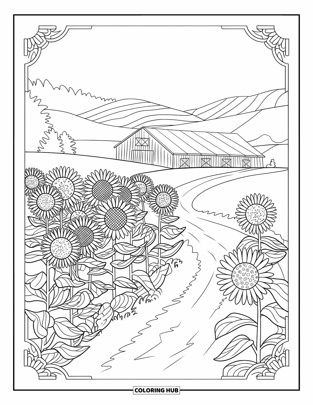 Desen de colorat cu floarea-soarelui pentru adulți: Un câmp de floarea-soarelui cu un hambar de lemn, o potecă sinuoasă și dealuri în depărtare