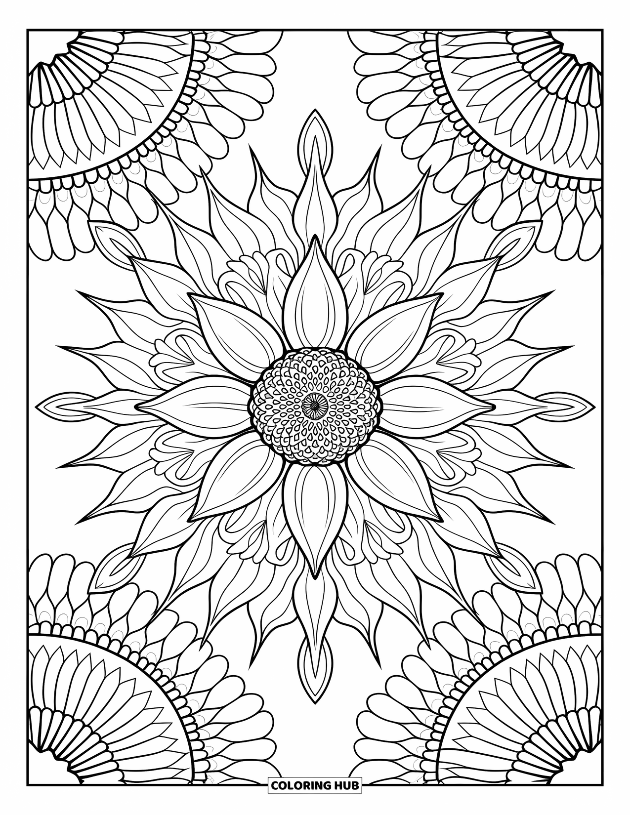 Desen de colorat cu floarea-soarelui pentru adulți: O floarea-soarelui înconjurată de modele intricate de mandala, cu linii fine și designuri simetrice