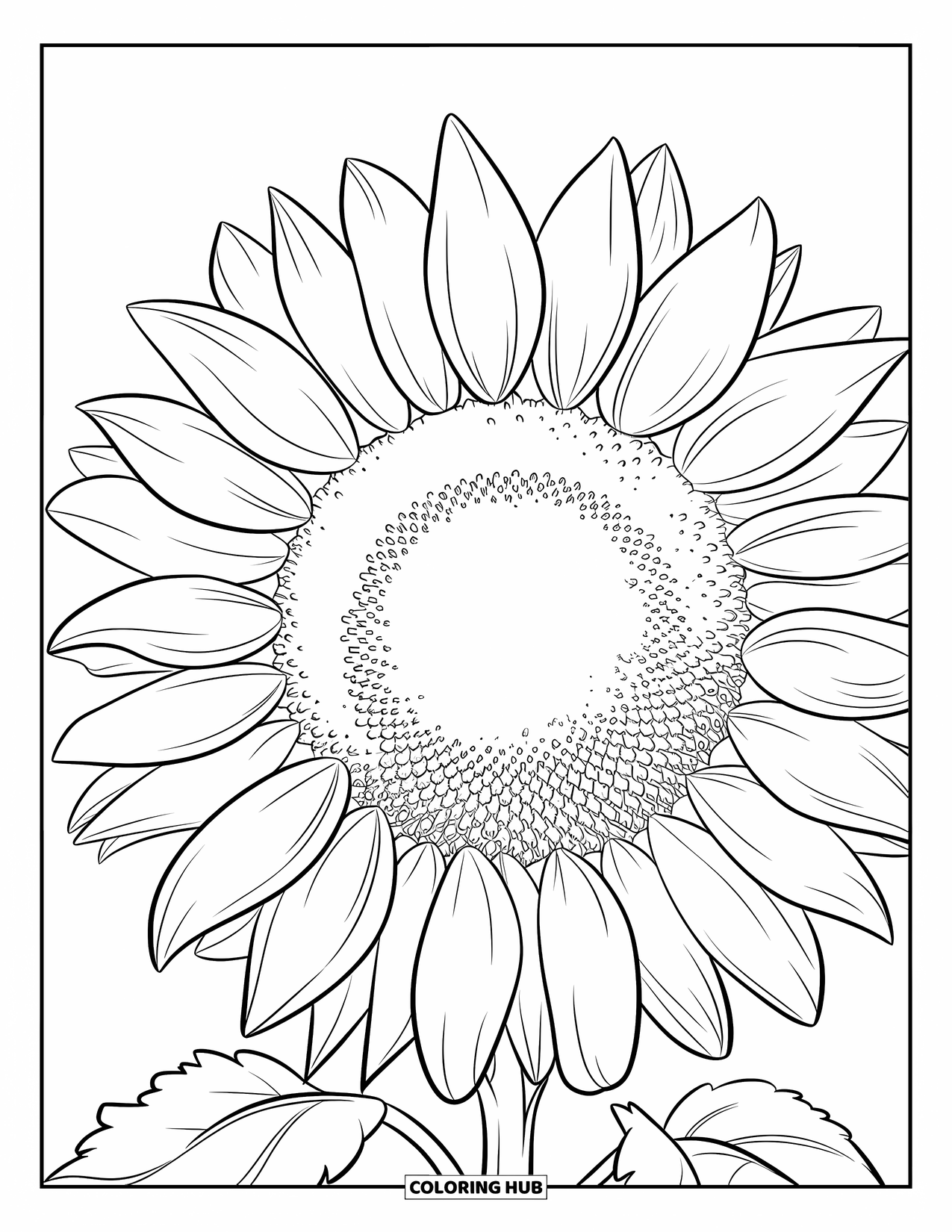 Desen de colorat cu floarea-soarelui pentru copii: O floarea-soarelui detaliată cu petale mari și un centru texturat