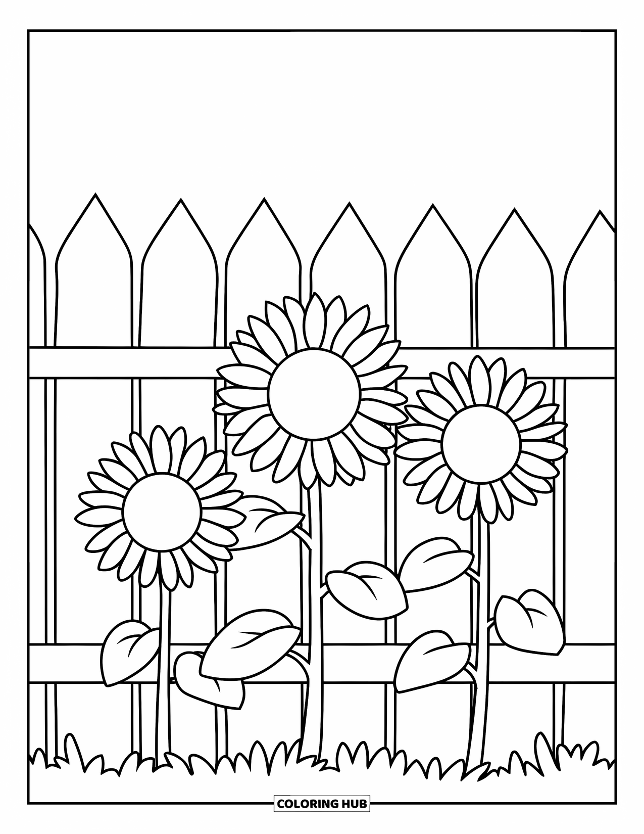 Desen de colorat cu floarea-soarelui pentru copii: O grădină cu trei flori-soarelui înflorite, stând în picioare lângă un gard de lemn