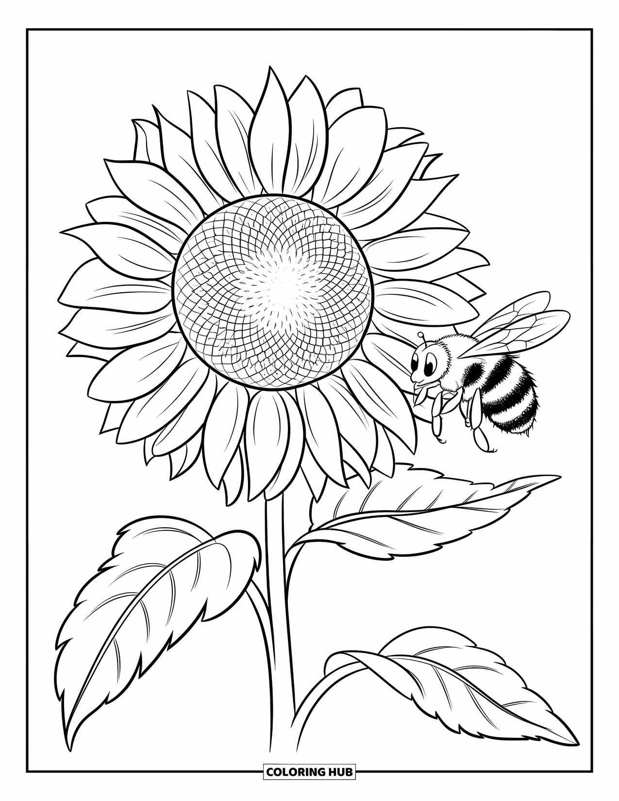 Desen de colorat cu floarea-soarelui pentru copii: O albină zboară deasupra unei floarea-soarelui, adunând nectar din petalele sale strălucitoare