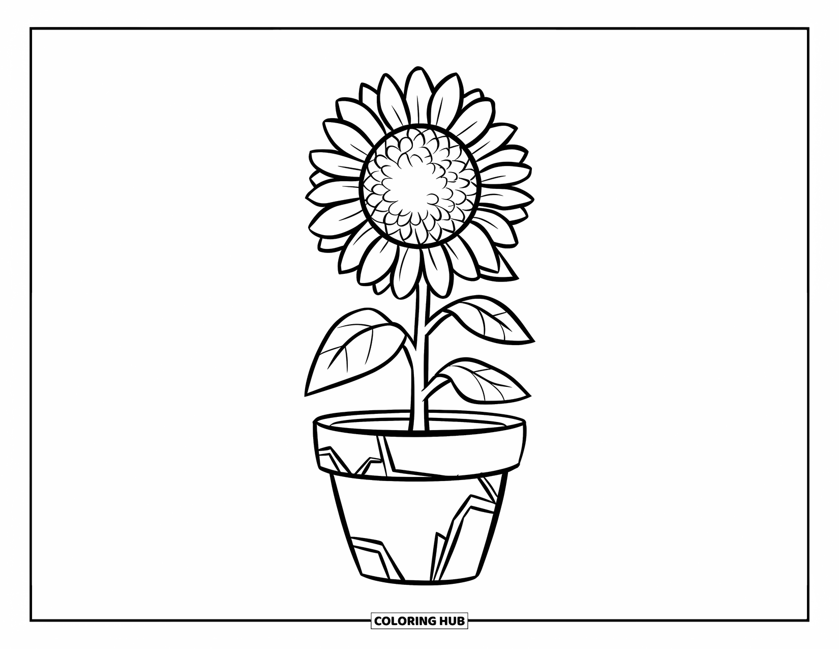 Desen de colorat cu floarea-soarelui pentru copii: O floarea-soarelui în ghiveci cu o față veselă și contururi îngroșate și puternice
