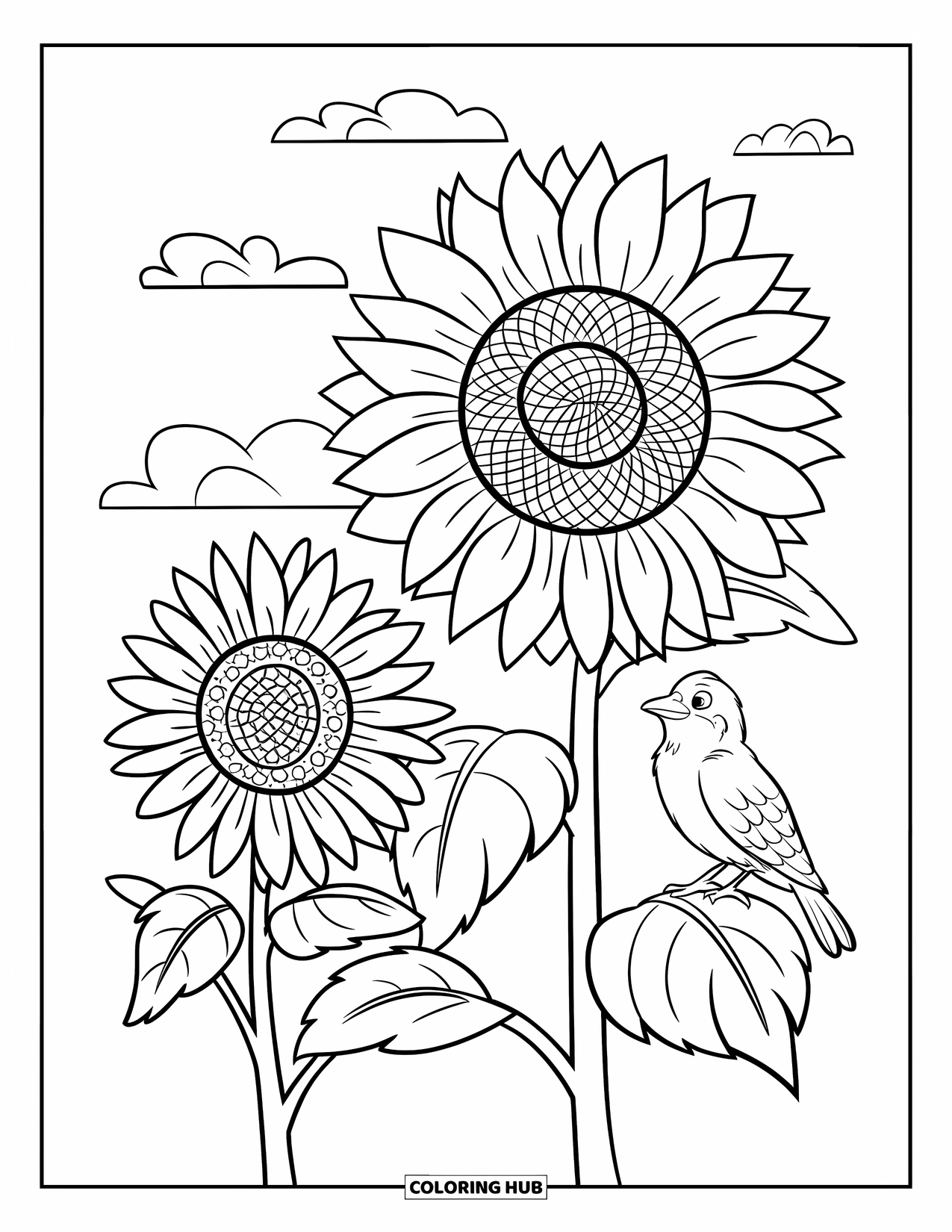 Desen de colorat cu floarea-soarelui pentru copii: O pasăre mică odihnește pe o frunză de floarea-soarelui, cu nori plutind deasupra