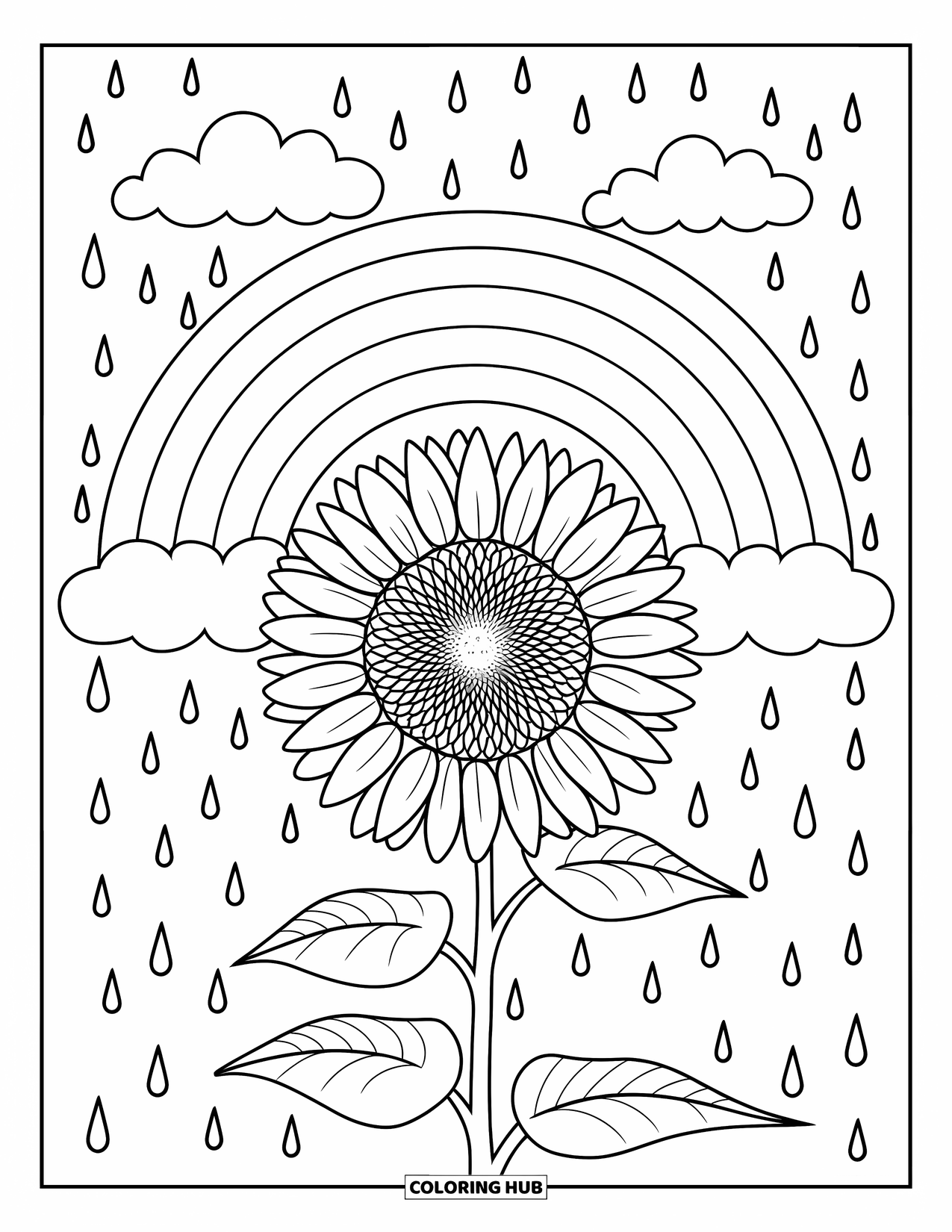 Desen de colorat cu floarea-soarelui pentru copii: O floarea-soarelui stă dreaptă cu un curcubeu în spate și picături de ploaie căzând