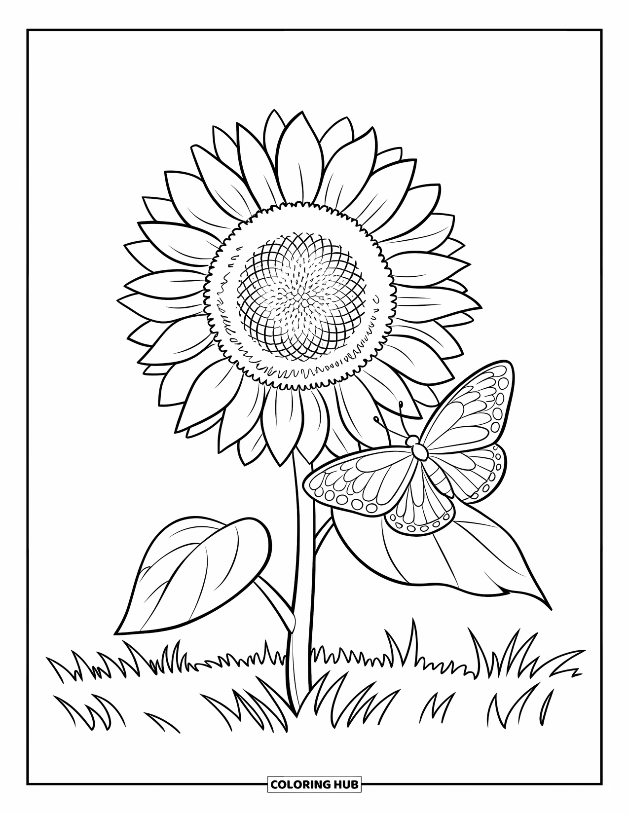Desen de colorat cu floarea-soarelui pentru copii: O floarea-soarelui cu un fluture odihnindu-se pe petala sa, într-un câmp cu iarbă
