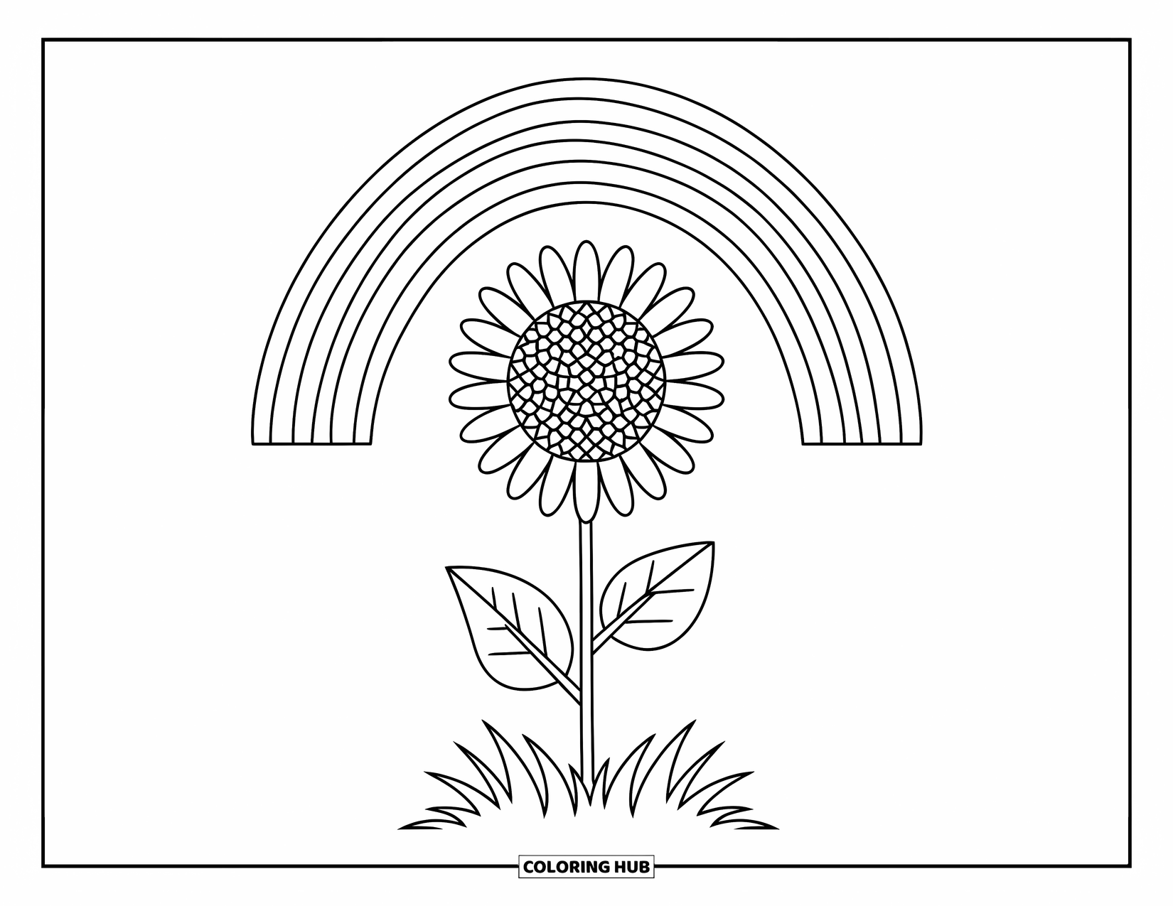 Desen de colorat cu floarea-soarelui pentru copii: O floarea-soarelui cu o tulpină de iarbă și un curcubeu arcuit deasupra