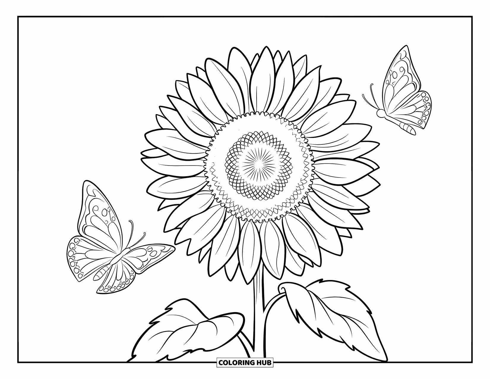 Desen de colorat cu floarea-soarelui pentru copii: O floarea-soarelui cu două fluturi care planează aproape, gata să se așeze pe petale