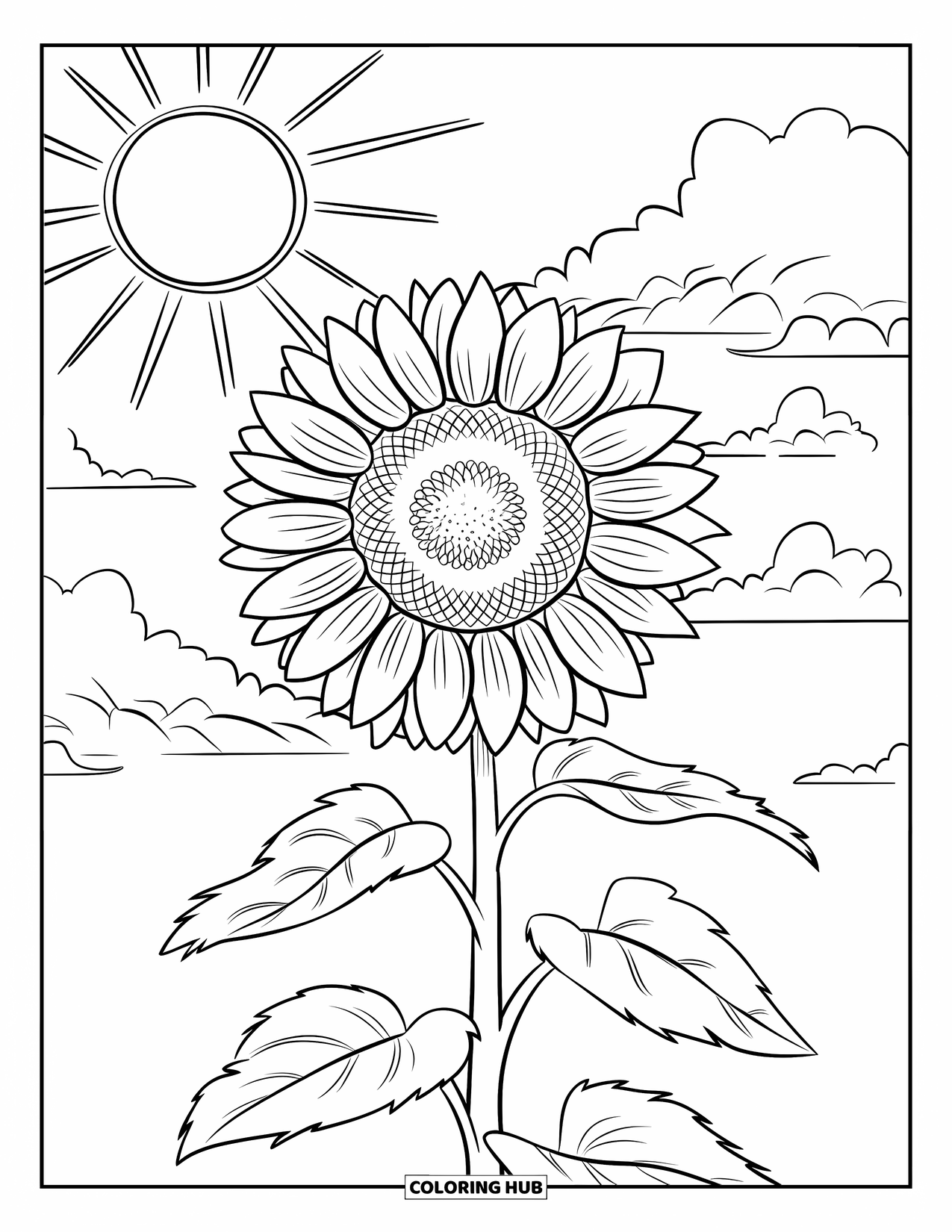 Desen de colorat cu floarea-soarelui pentru copii: O floarea-soarelui cu frunze ondulate și petale mari, întinzându-se spre soare