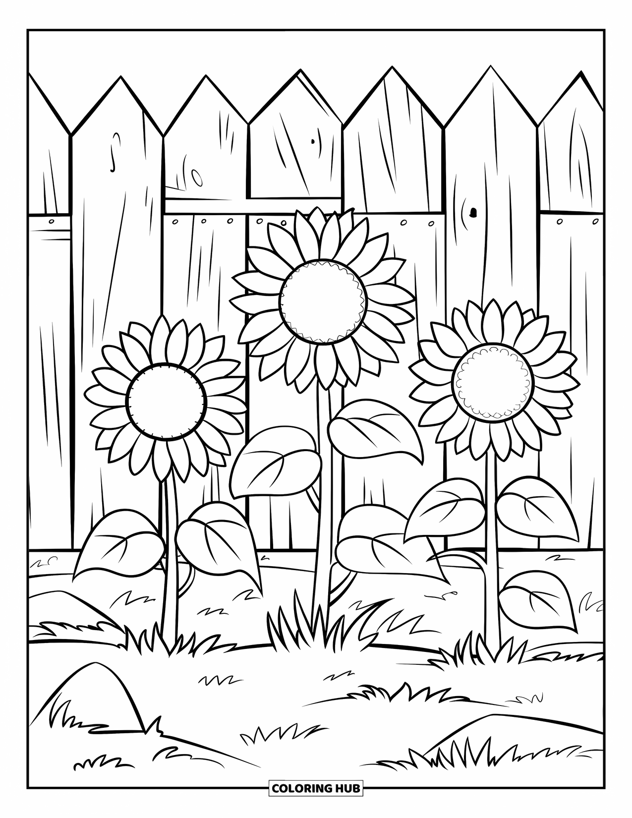 Desen de colorat cu floarea-soarelui pentru copii: O floarea-soarelui înaltă și una scundă, cu o pasăre odihnindu-se pe o frunză