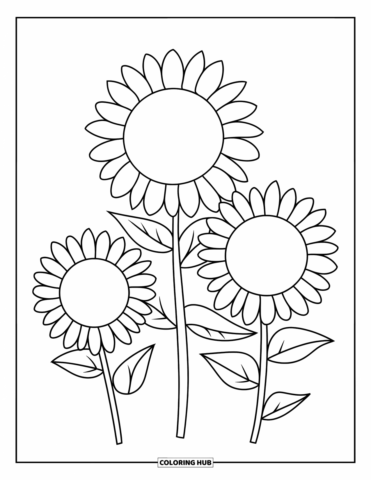 Desen de colorat cu floarea-soarelui pentru copii: Un trio de flori-soarelui înclinate în direcții diferite, cu petale mari și îngroșate
